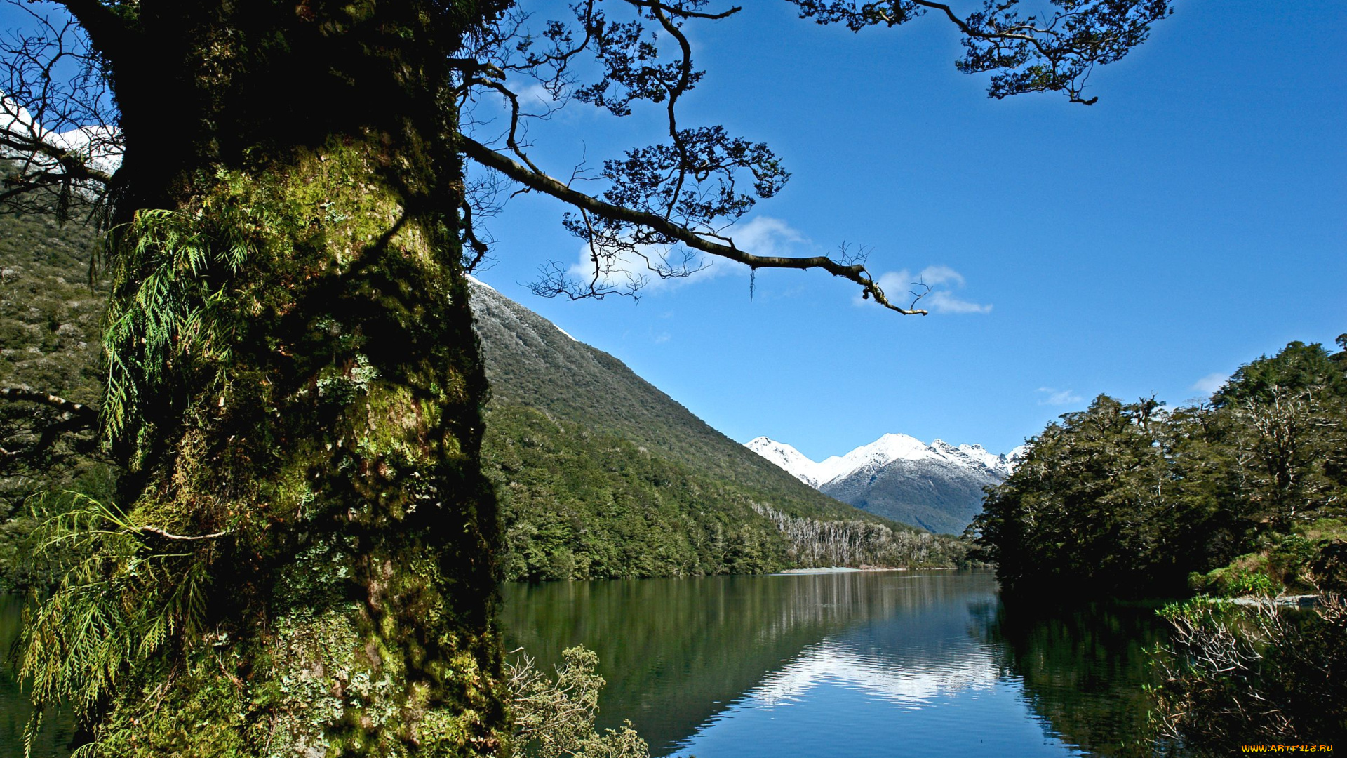 lake, fergus, природа, реки, озера, fiordland