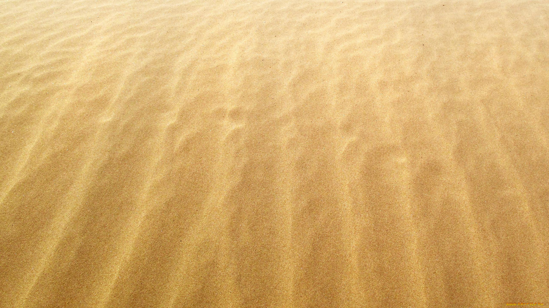 природа, пустыни, песок