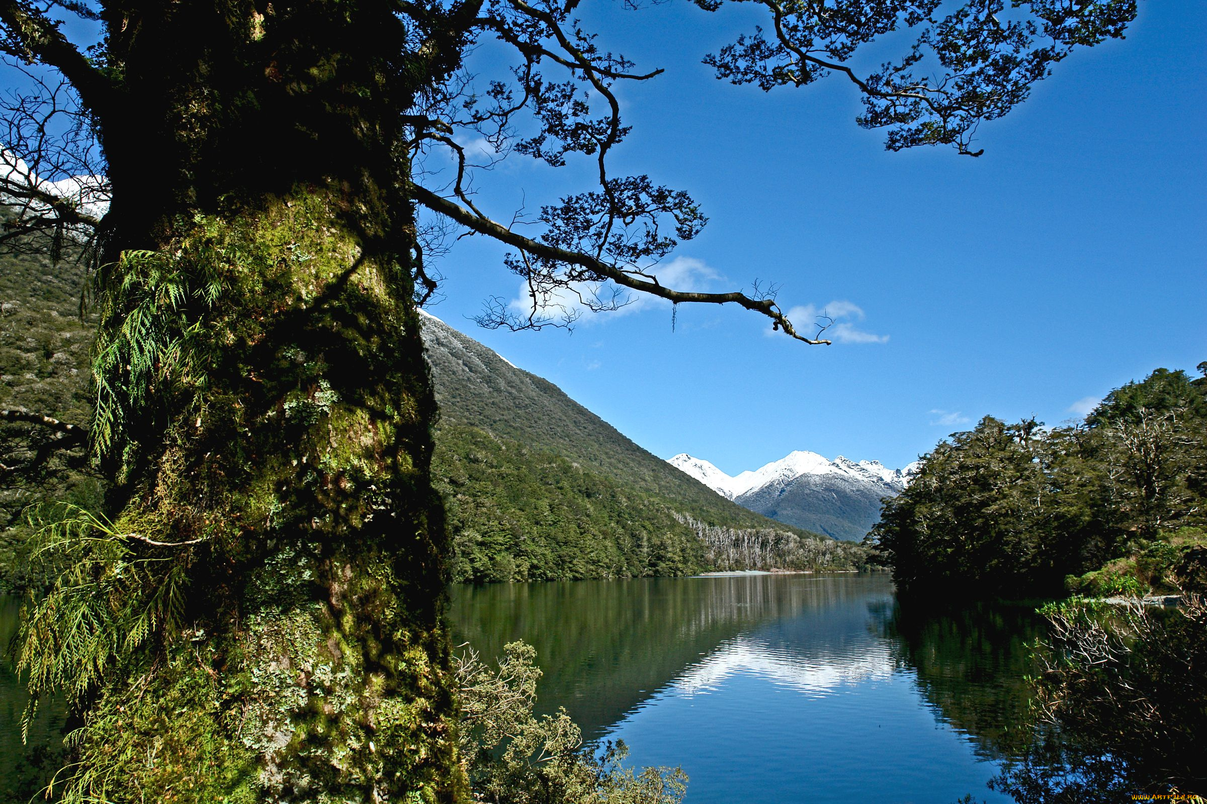 lake, fergus, природа, реки, озера, fiordland