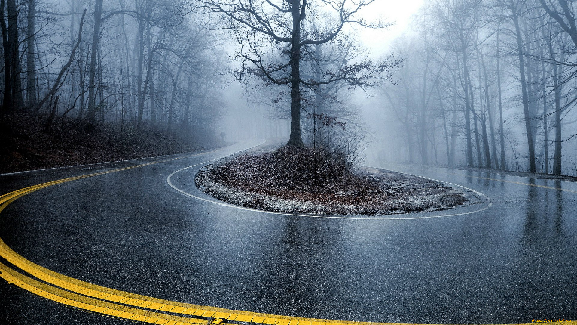 природа, дороги, полоса, поворот, туман