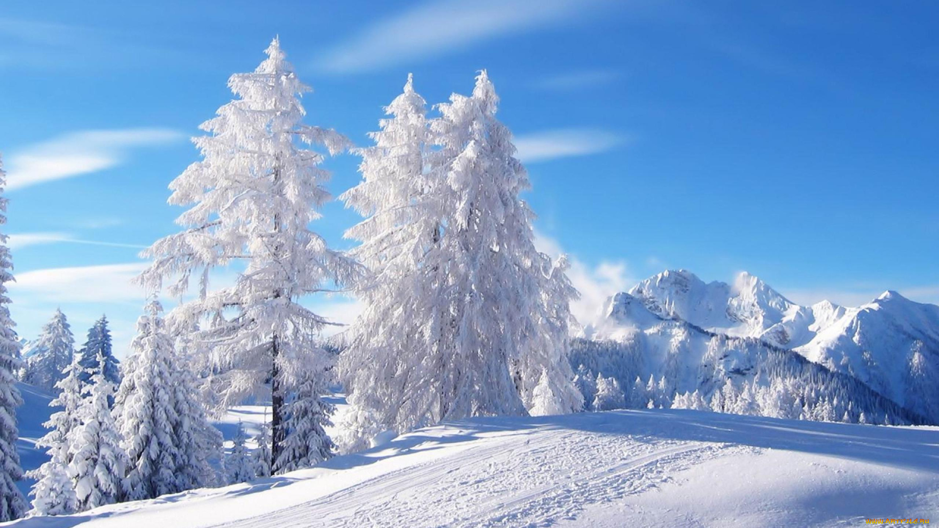 природа, зима, снег, деревья, горы