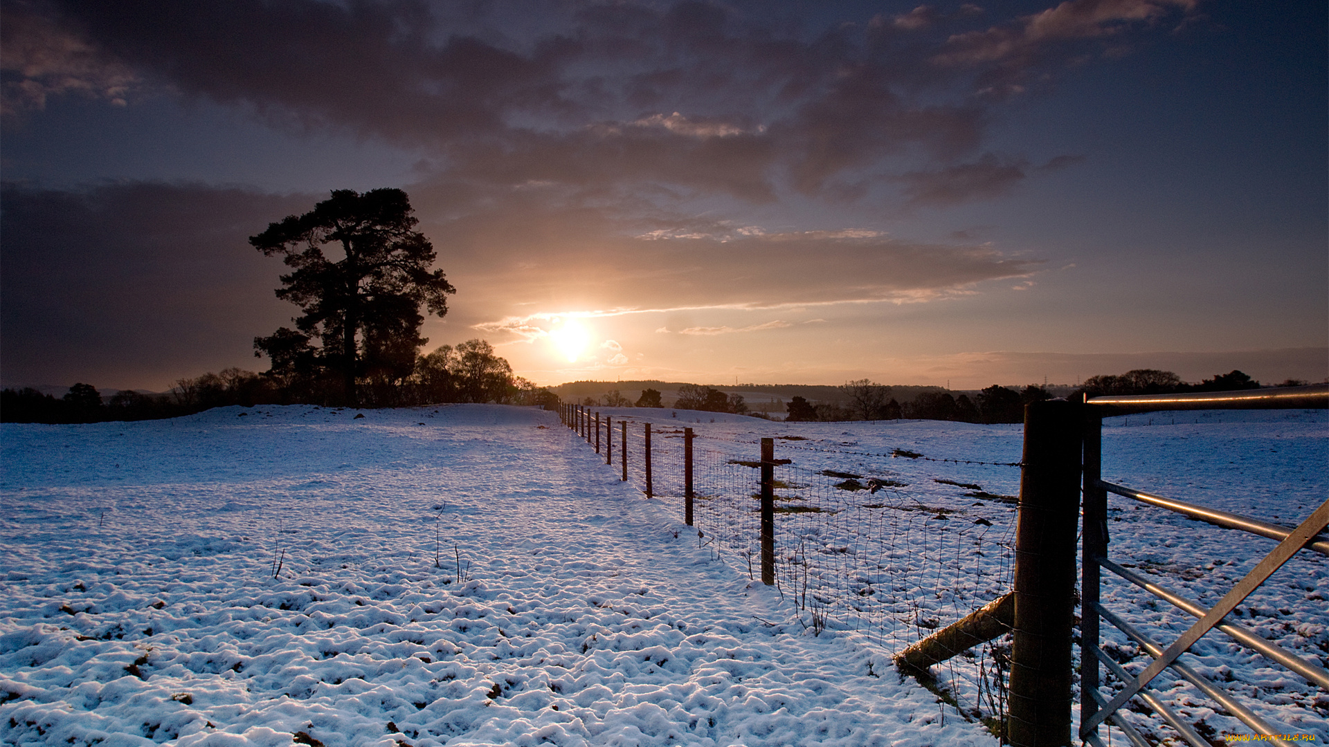 природа, зима, снег, поле, ограда, сумрак