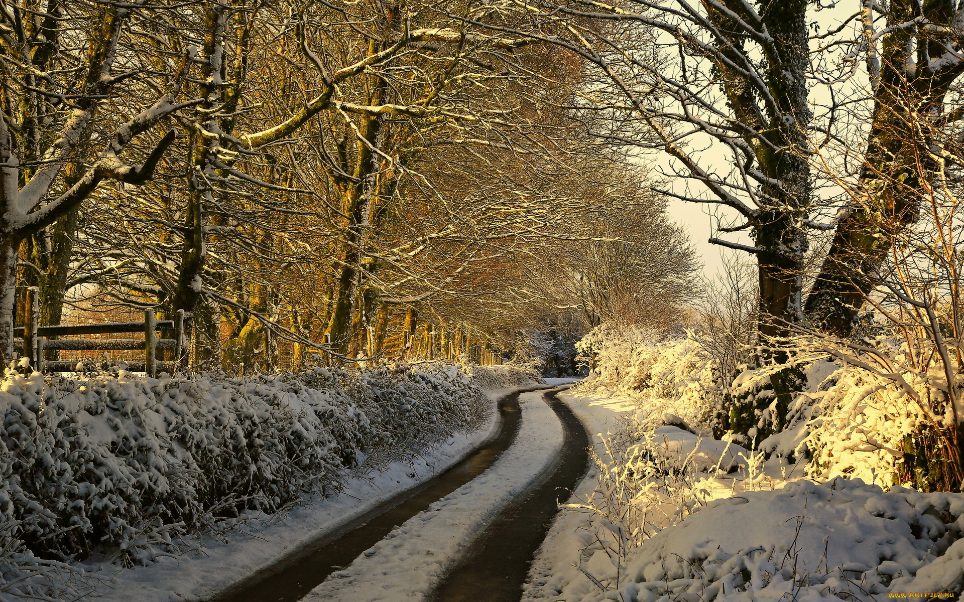 природа, дороги, утро, дорога, зима