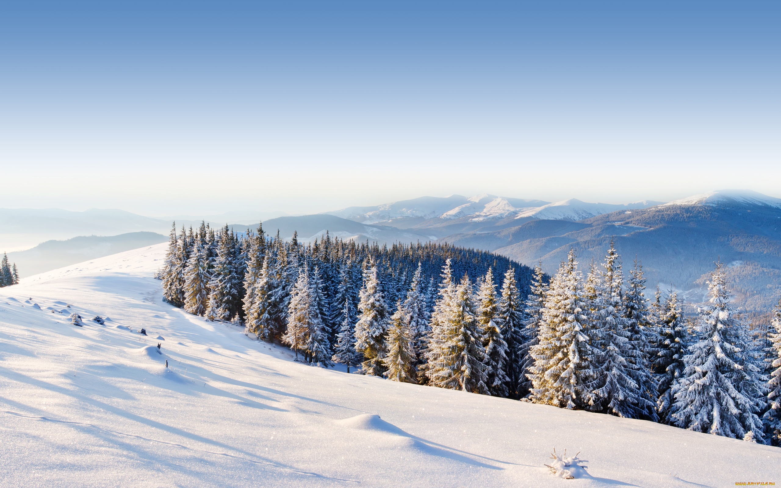 природа, зима, деревья, снег, горы