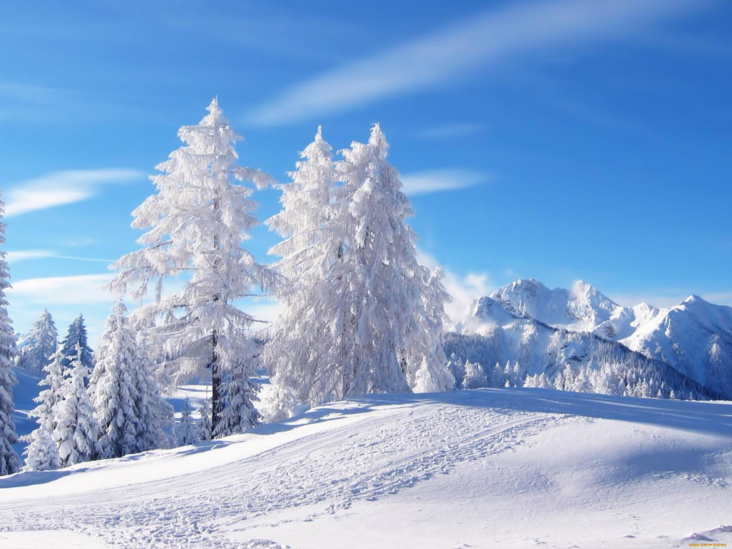 природа, зима, снег, деревья, горы