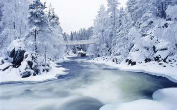 Картинка природа реки озера река мост деревья снег