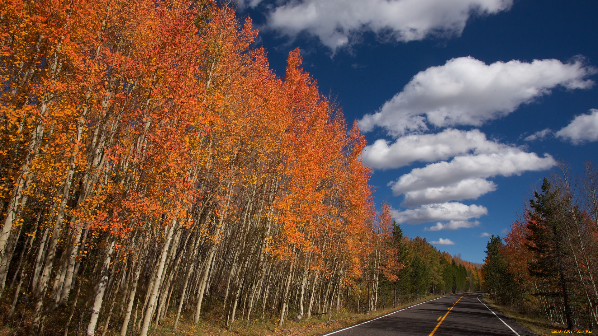 природа, дороги, небо, дорога, деревья, облака, осень