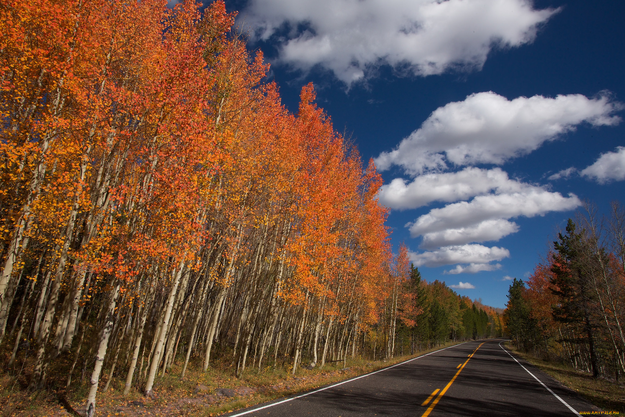 природа, дороги, небо, дорога, деревья, облака, осень