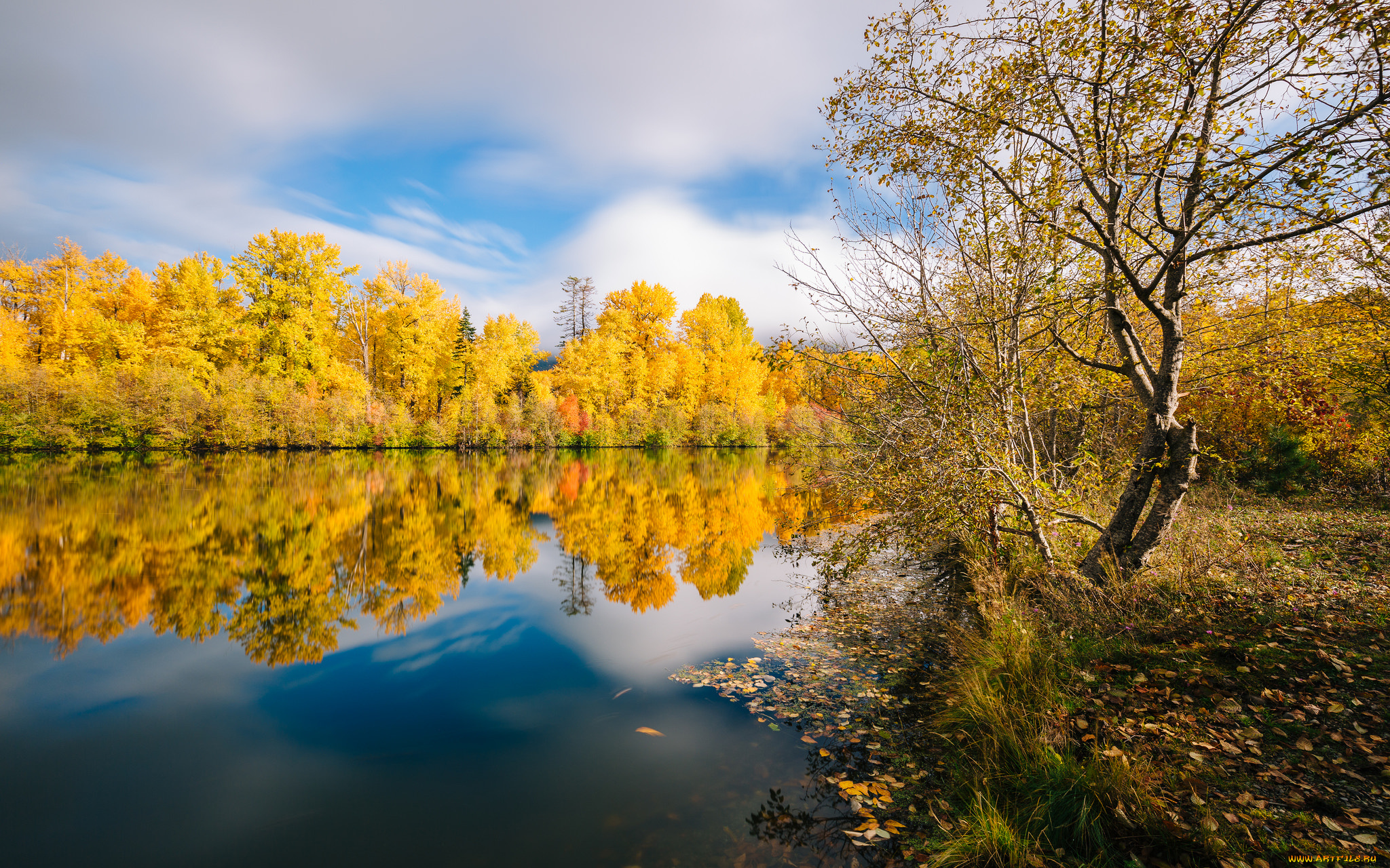 природа, реки, озера, лес, река