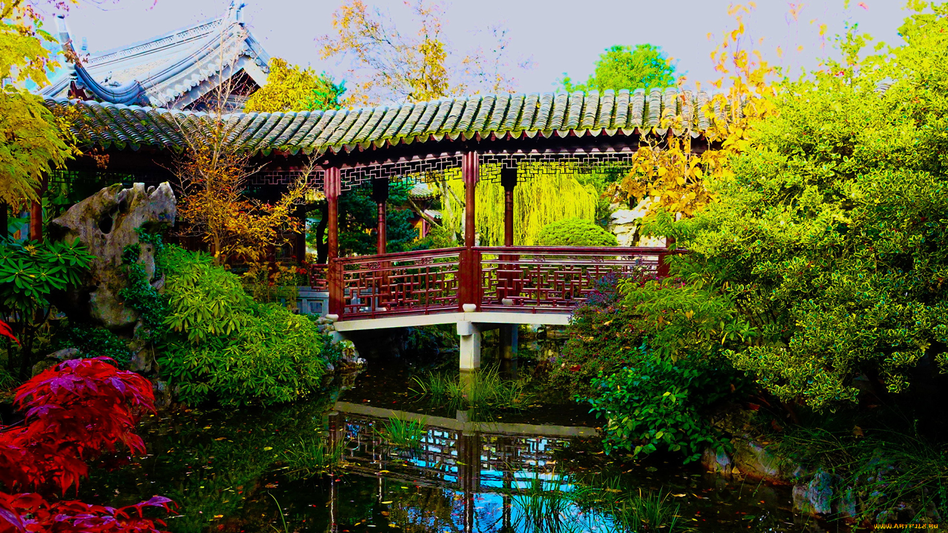 природа, парк, японский, водоем, сад, беседка