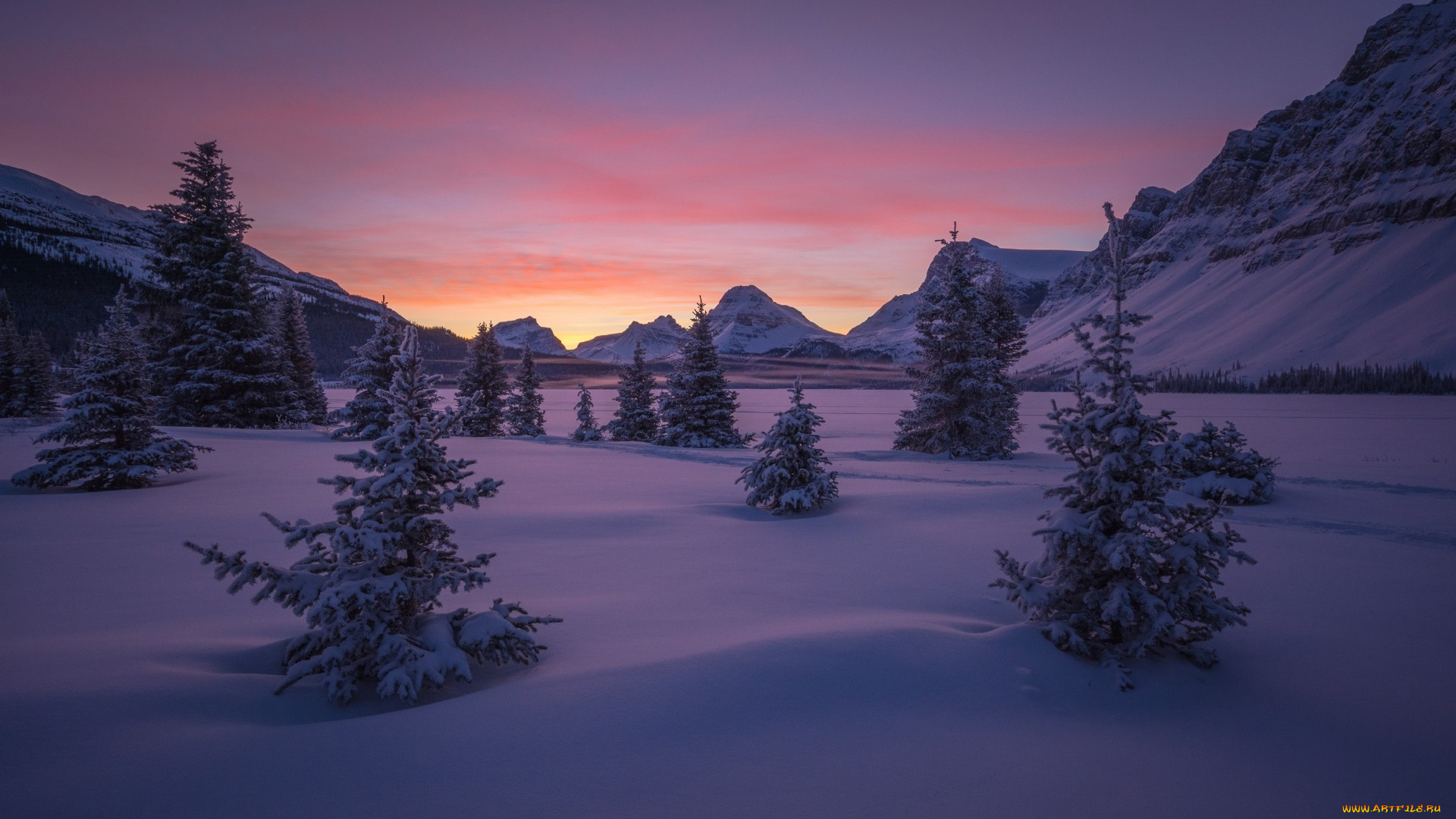 природа, зима, деревья, альберта, рассвет, небо, banff, national, park, канада, снег, банф, долина, горы