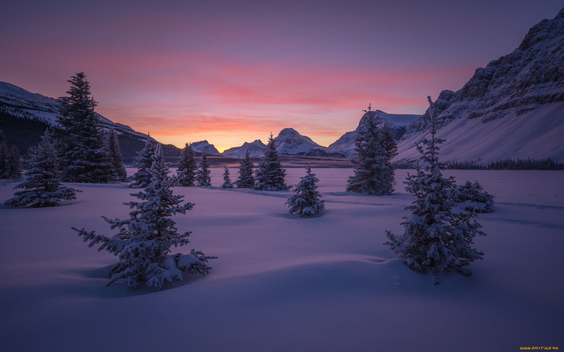 природа, зима, деревья, альберта, рассвет, небо, banff, national, park, канада, снег, банф, долина, горы