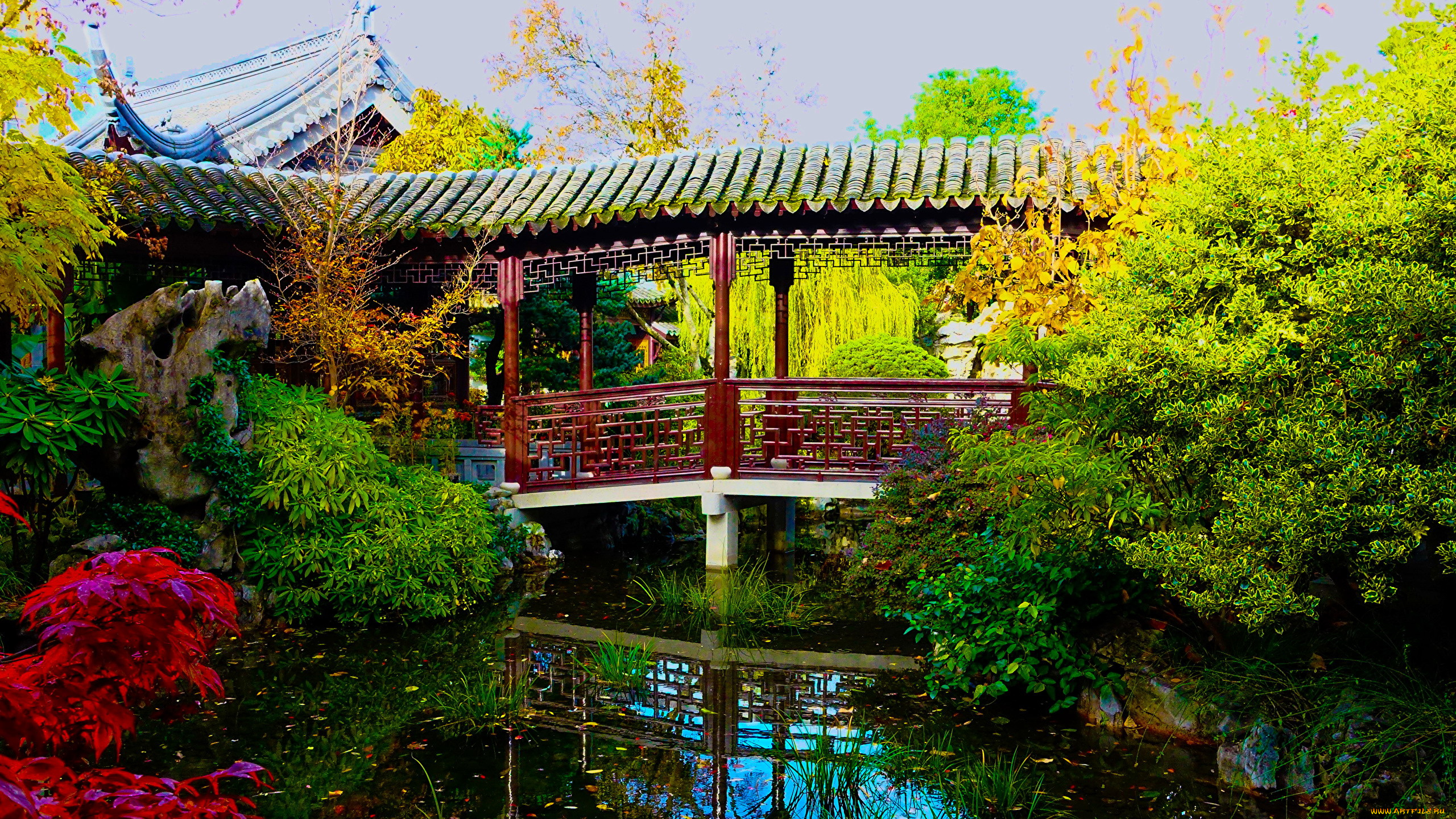 природа, парк, японский, водоем, сад, беседка