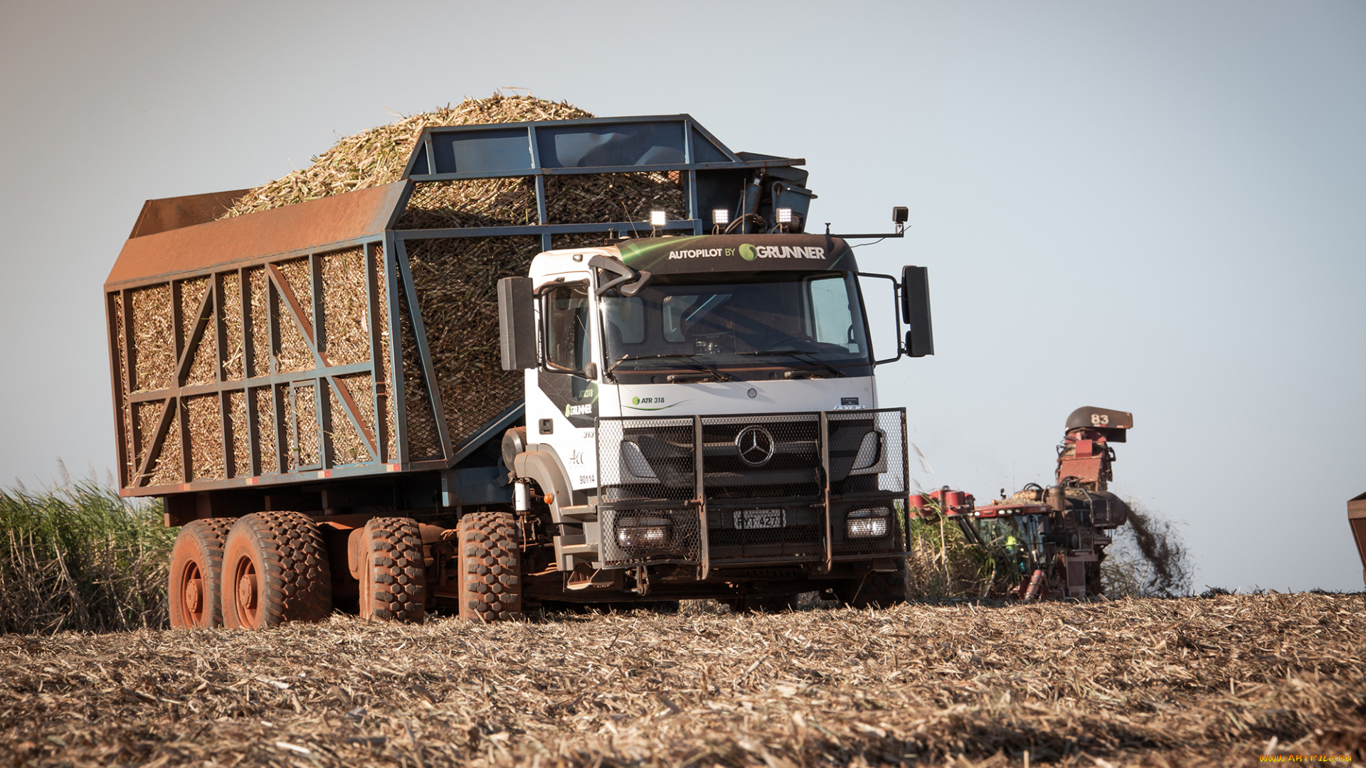 автомобили, mercedes, trucks, mercedes