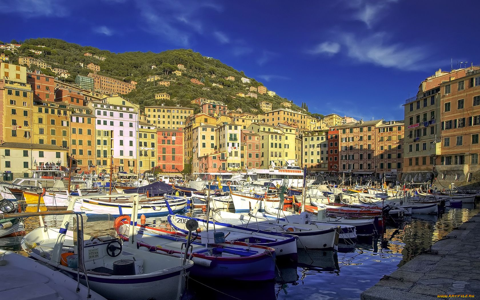 camogli, корабли, порты, причалы