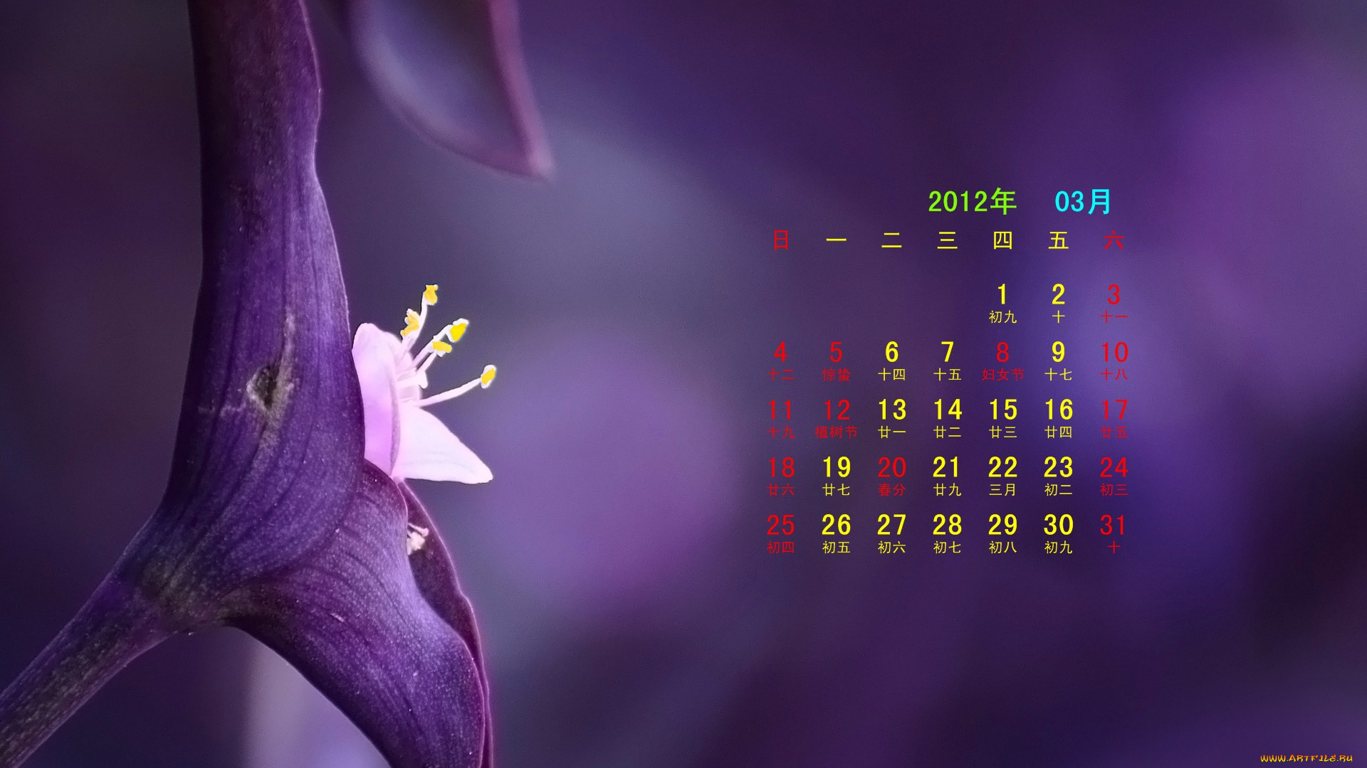 календари, цветы, цветок