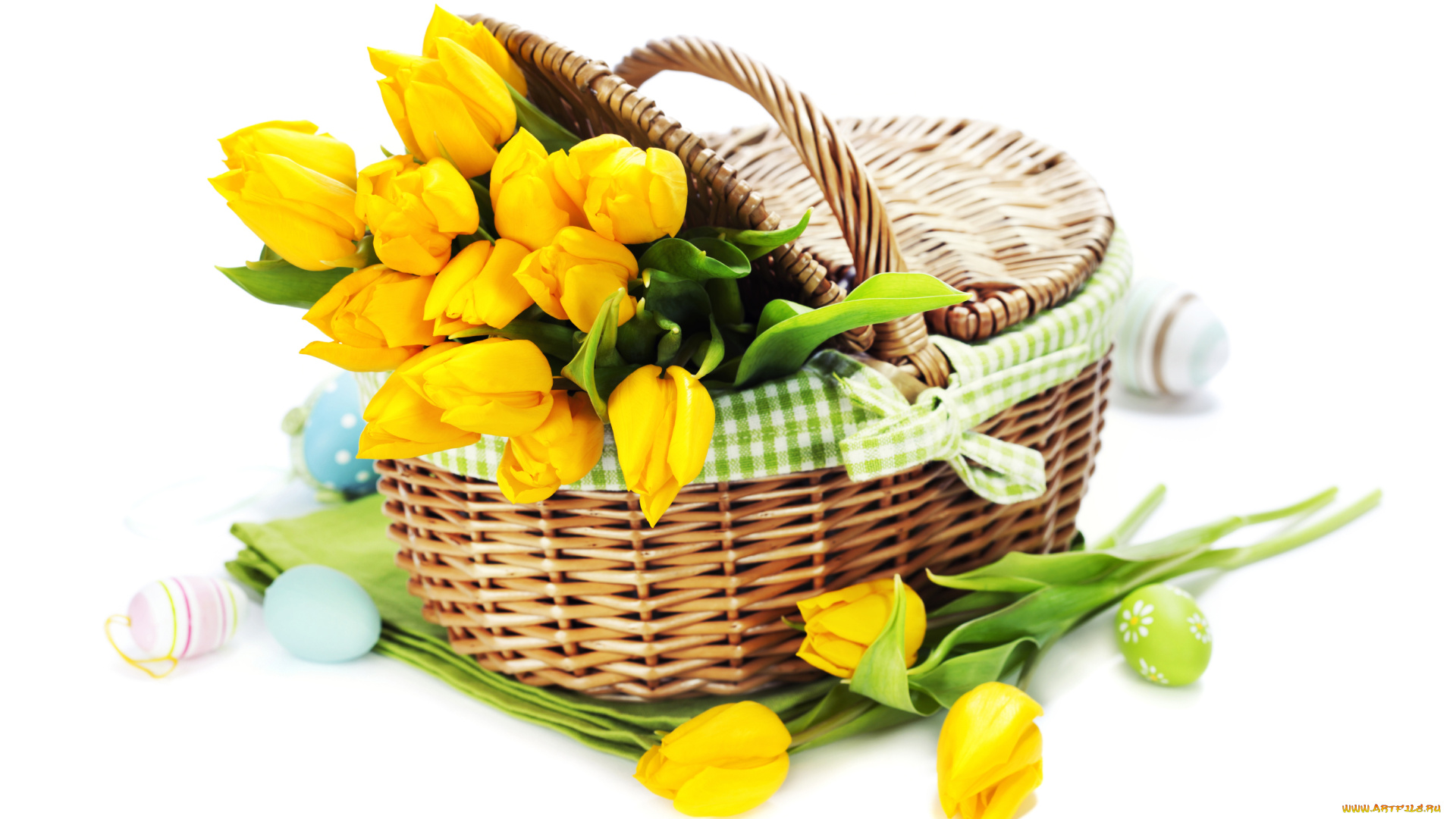 цветы, тюльпаны, корзинка
