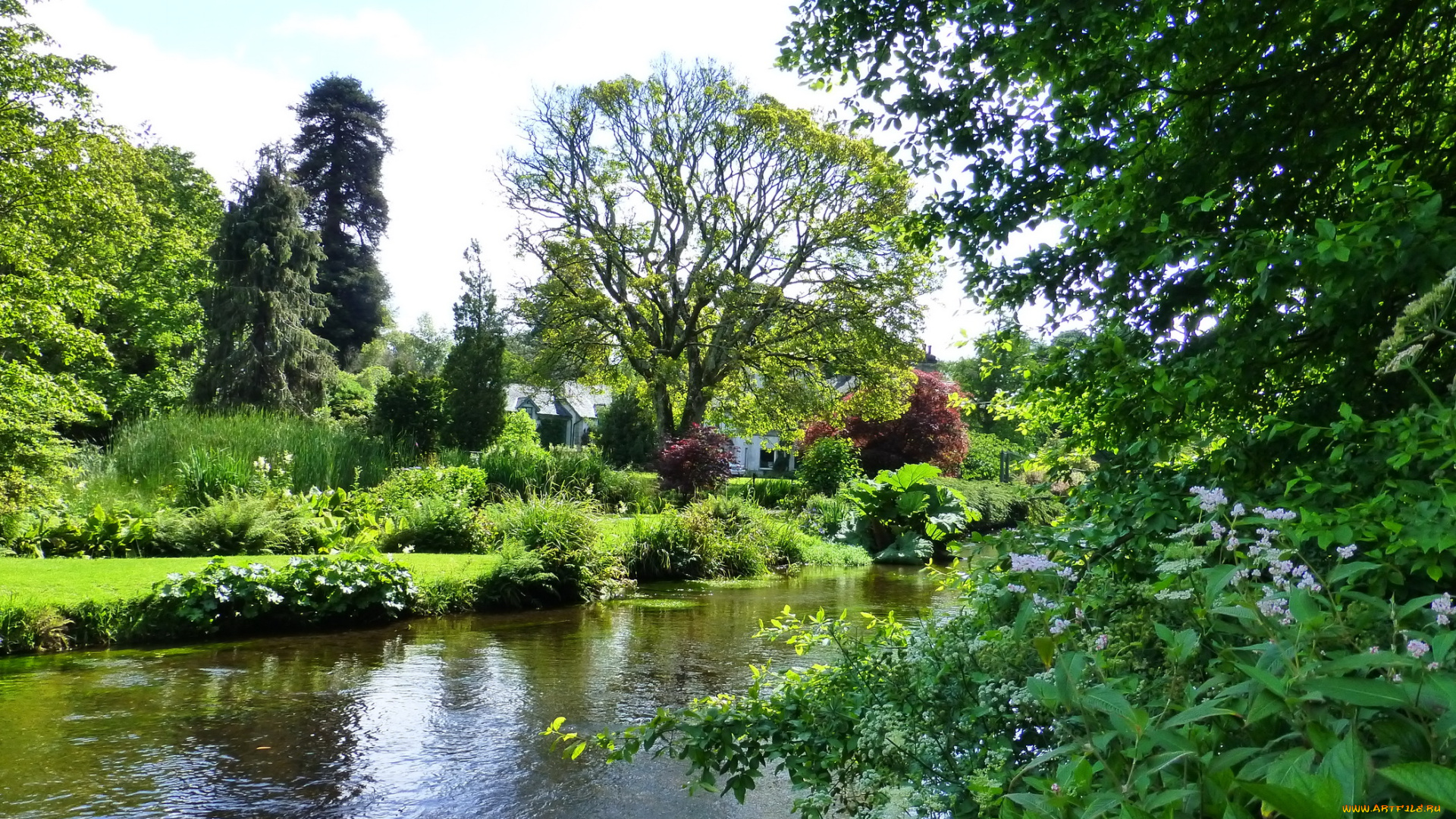 ireland, mount, usher, gardens, природа, парк, растения, река