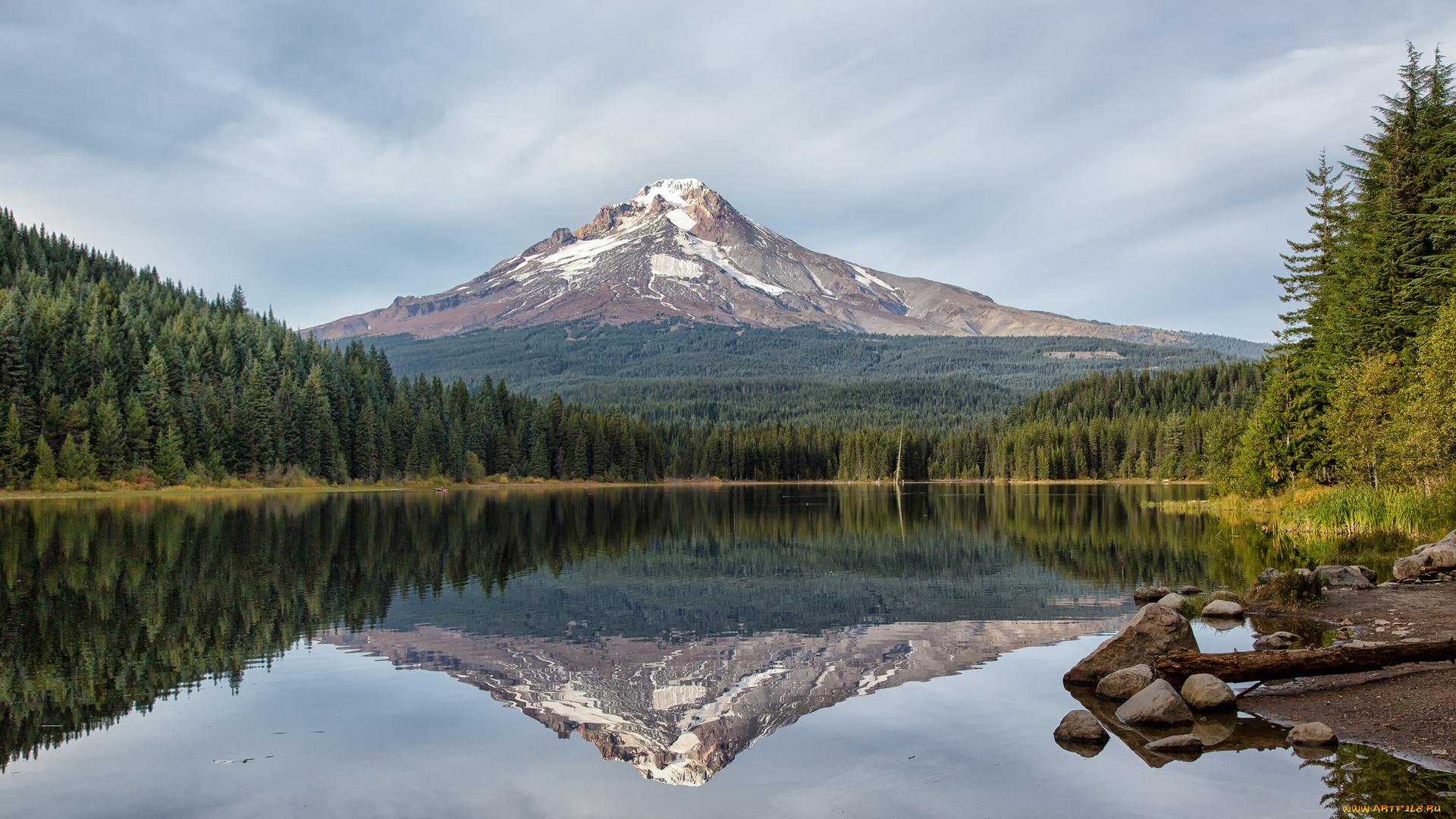 природа, реки, озера, oregon, гора, trillium, lake, лес, ели, отражение, озеро