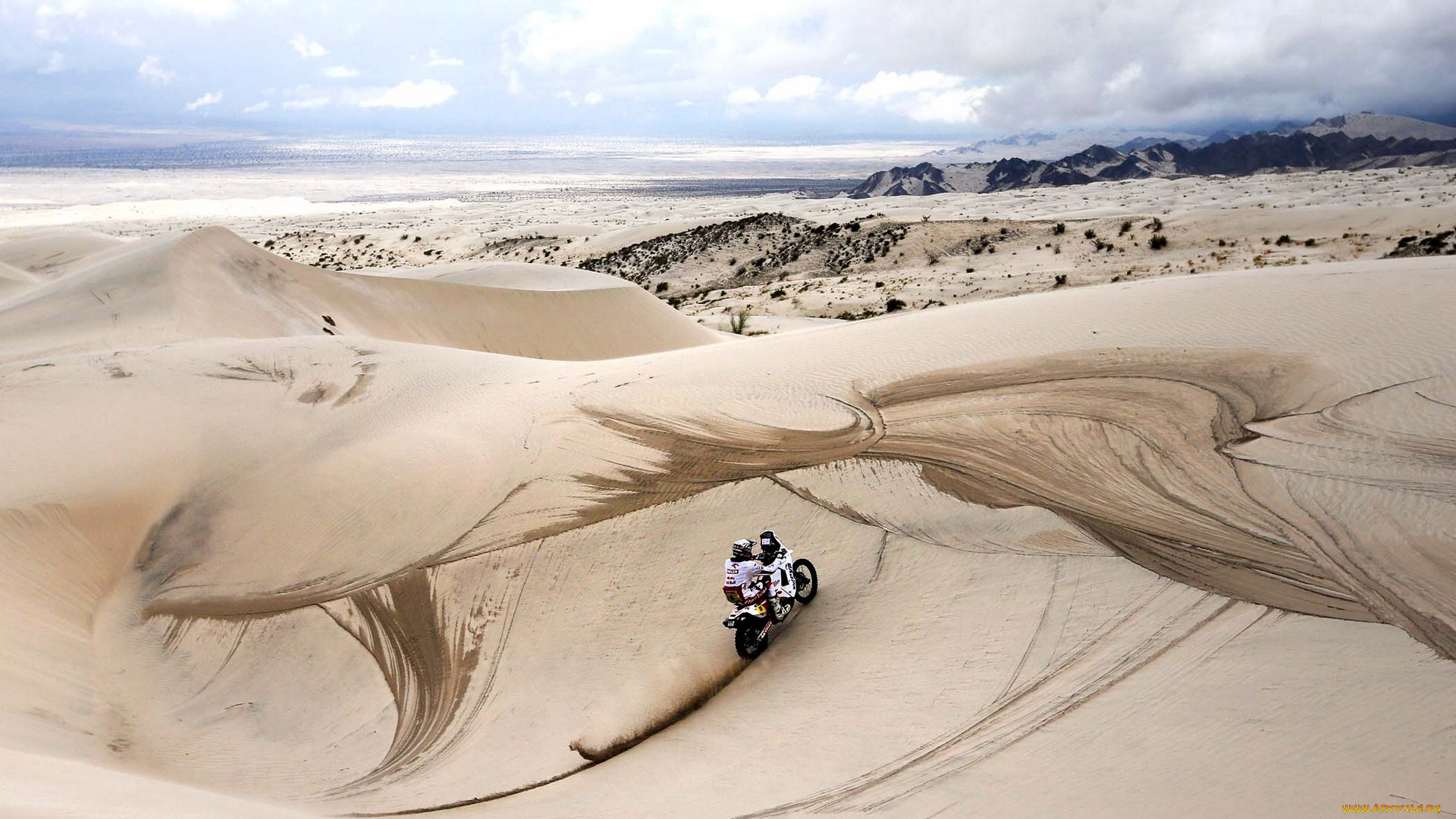 спорт, мотокросс, гонка, песок, пустыня