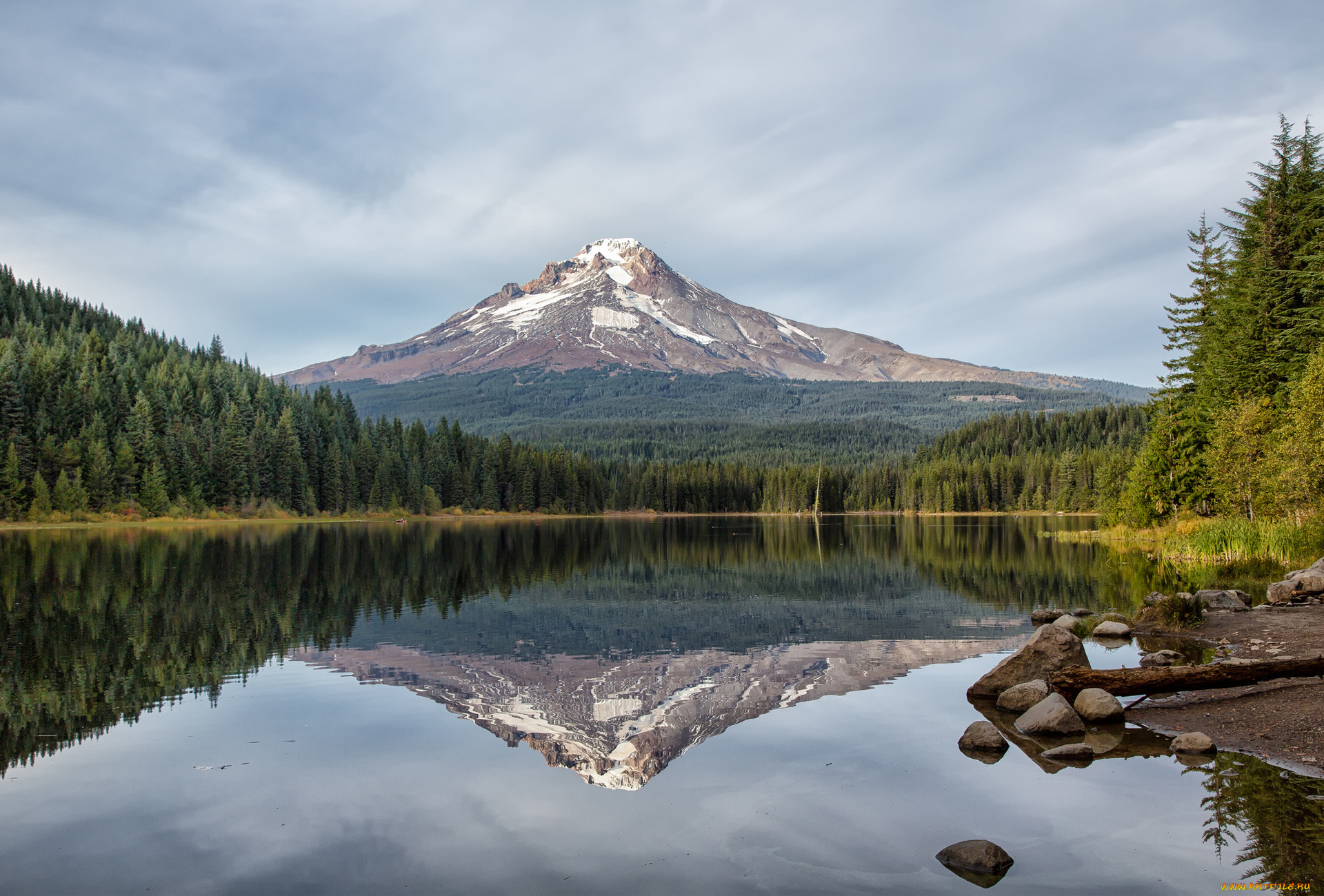 природа, реки, озера, oregon, гора, trillium, lake, лес, ели, отражение, озеро