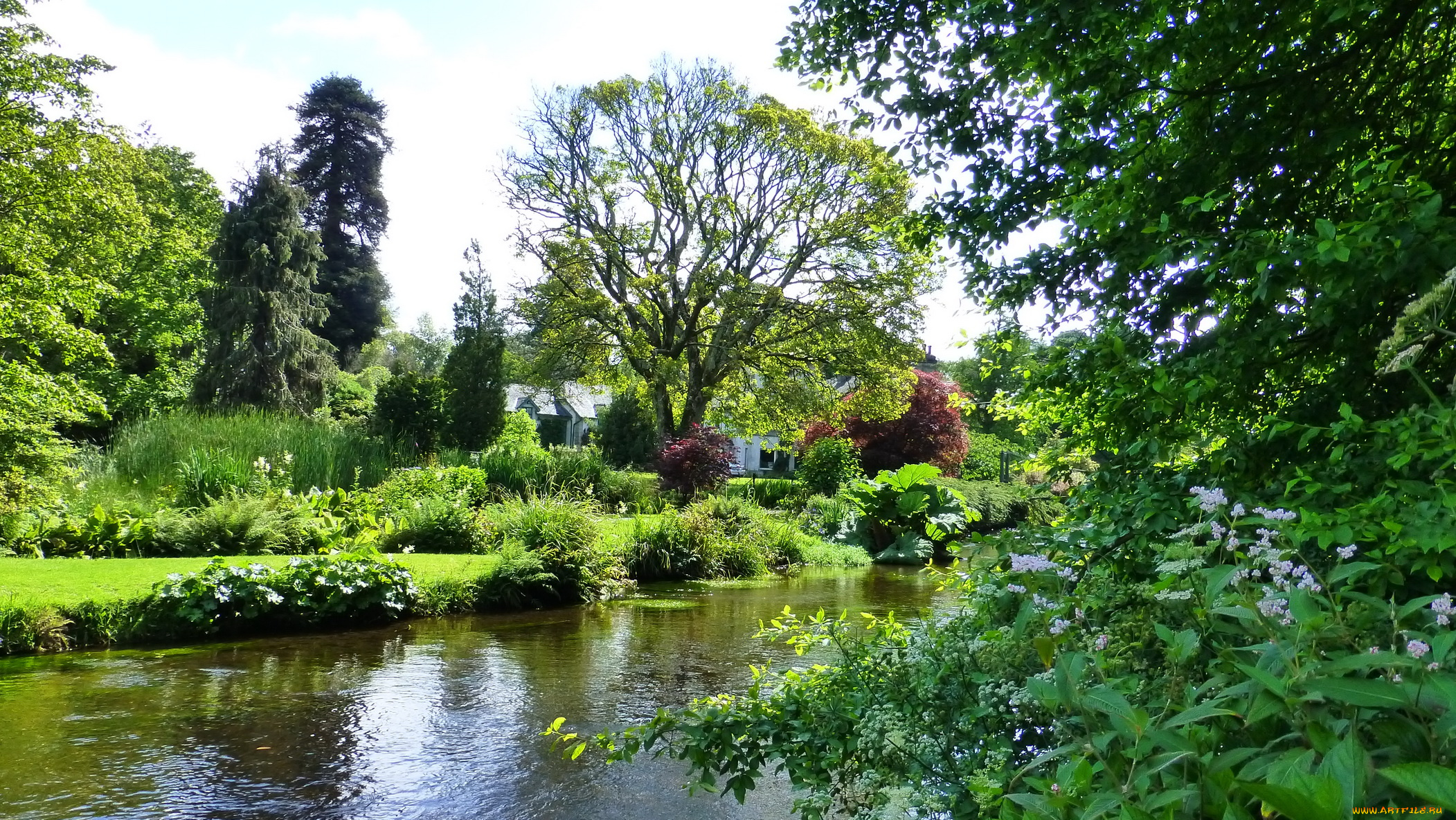 ireland, mount, usher, gardens, природа, парк, растения, река