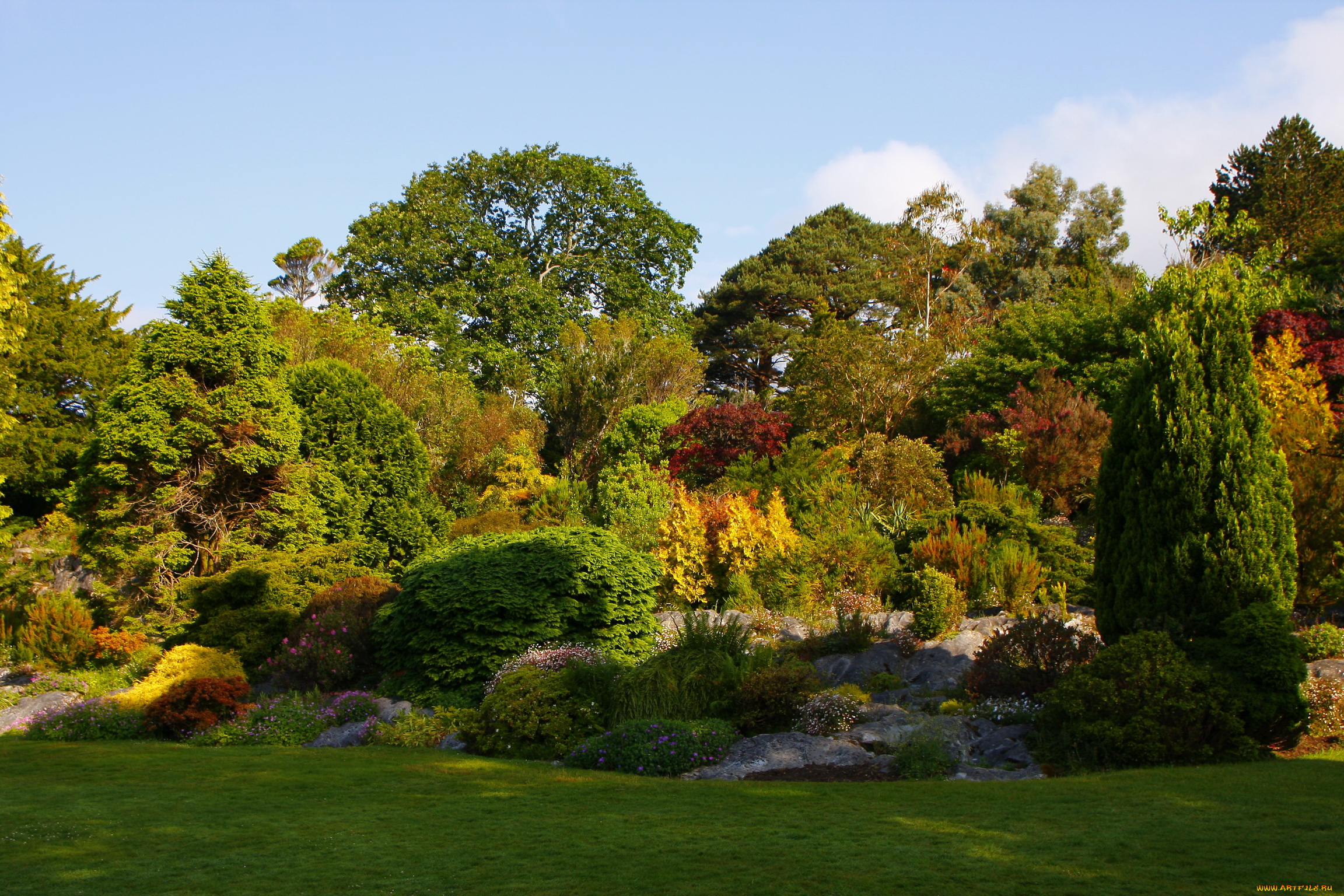 muckross, garden, ireland, природа, парк, кусты