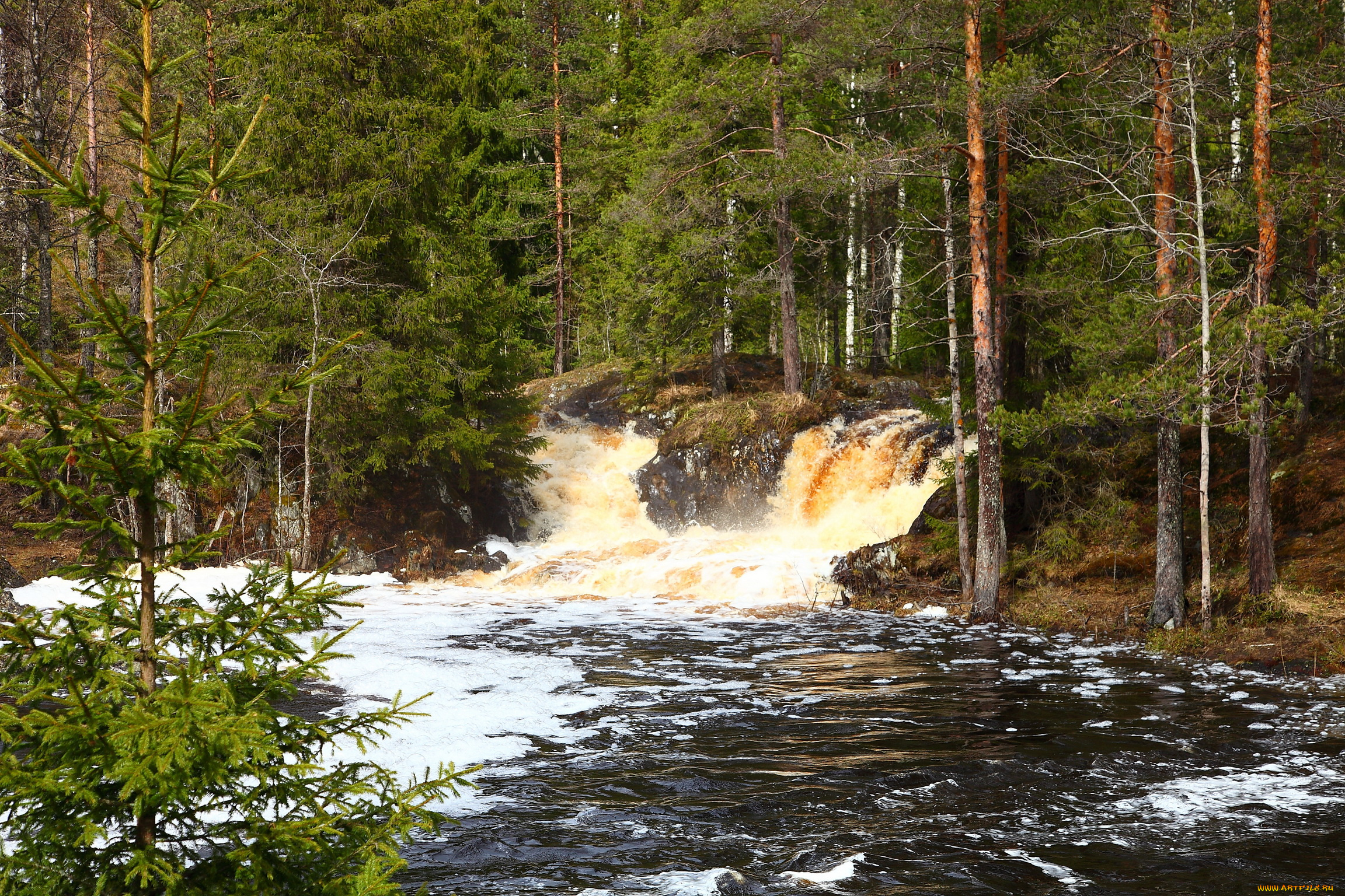 природа, водопады, водопад, лес