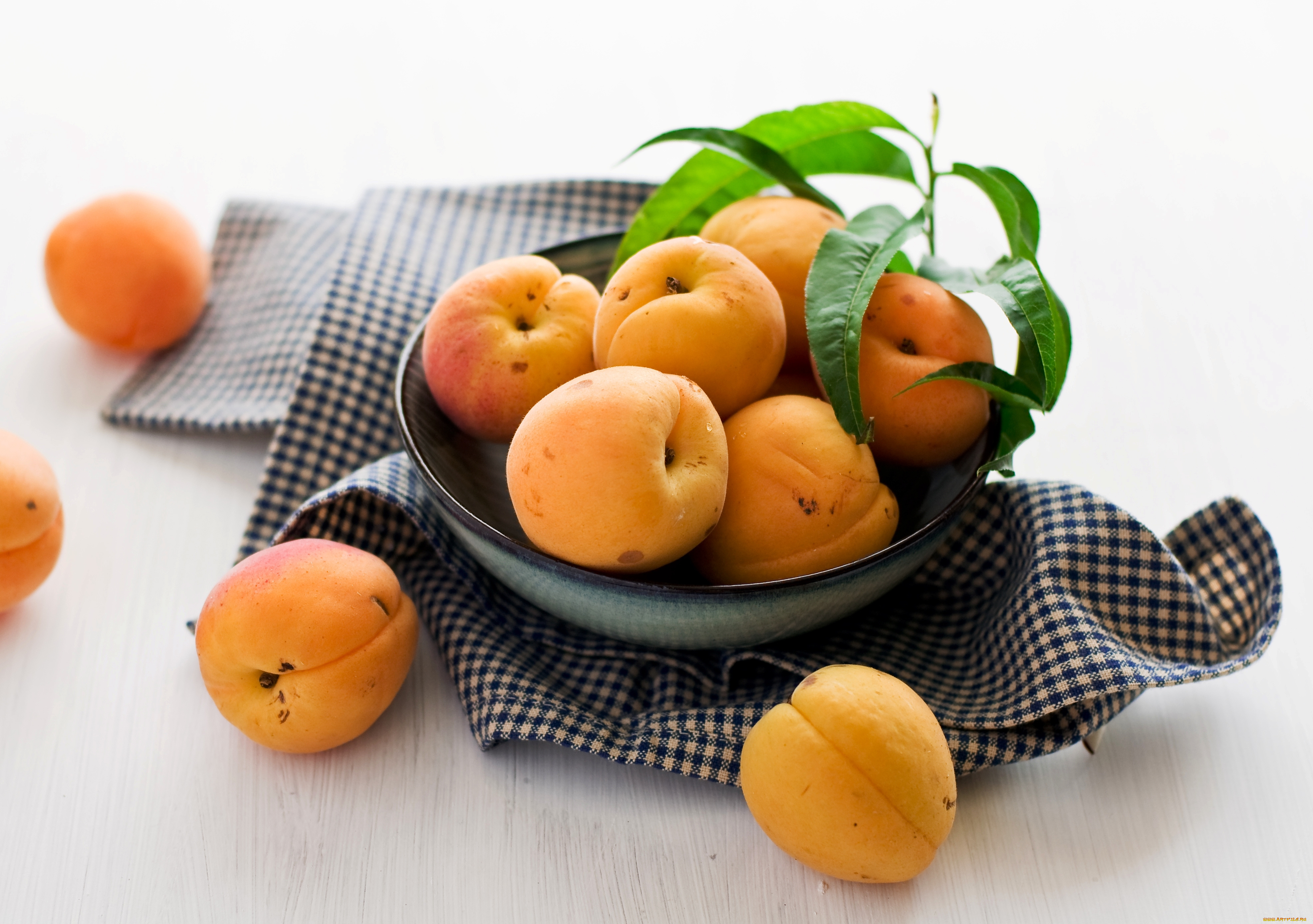 Фото абрикосов и персиков. Абрикосы. Фрукты абрикос. Персики на тарелке. Персик и абрикос.