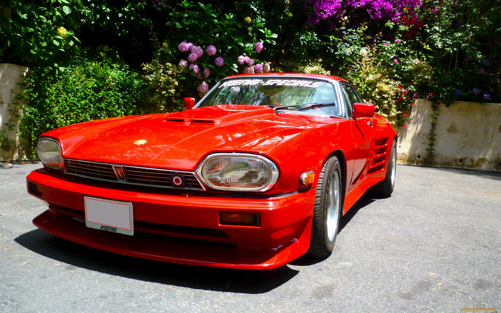 автомобили, jaguar, red