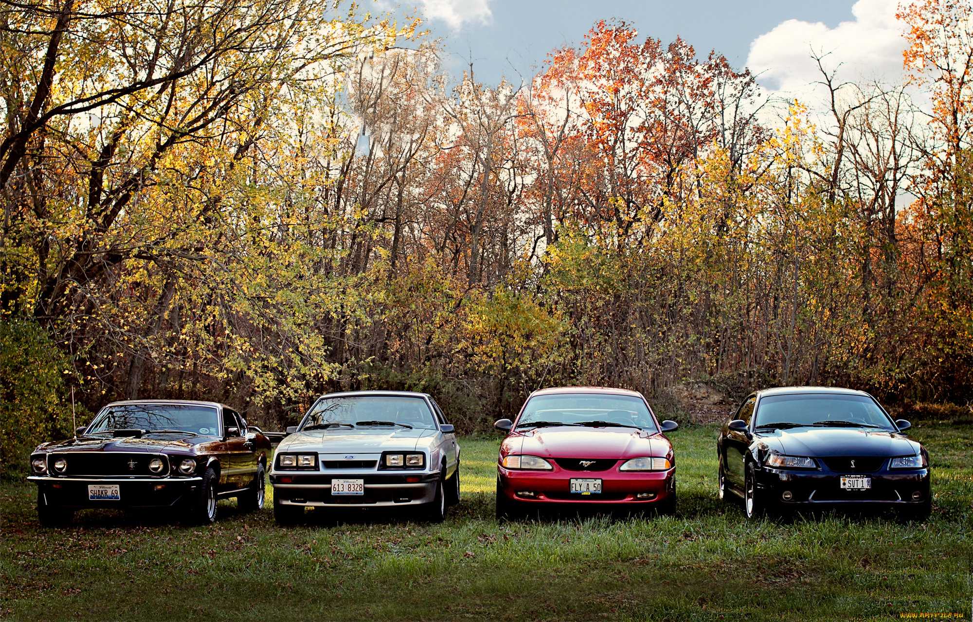 автомобили, mustang, mustangs