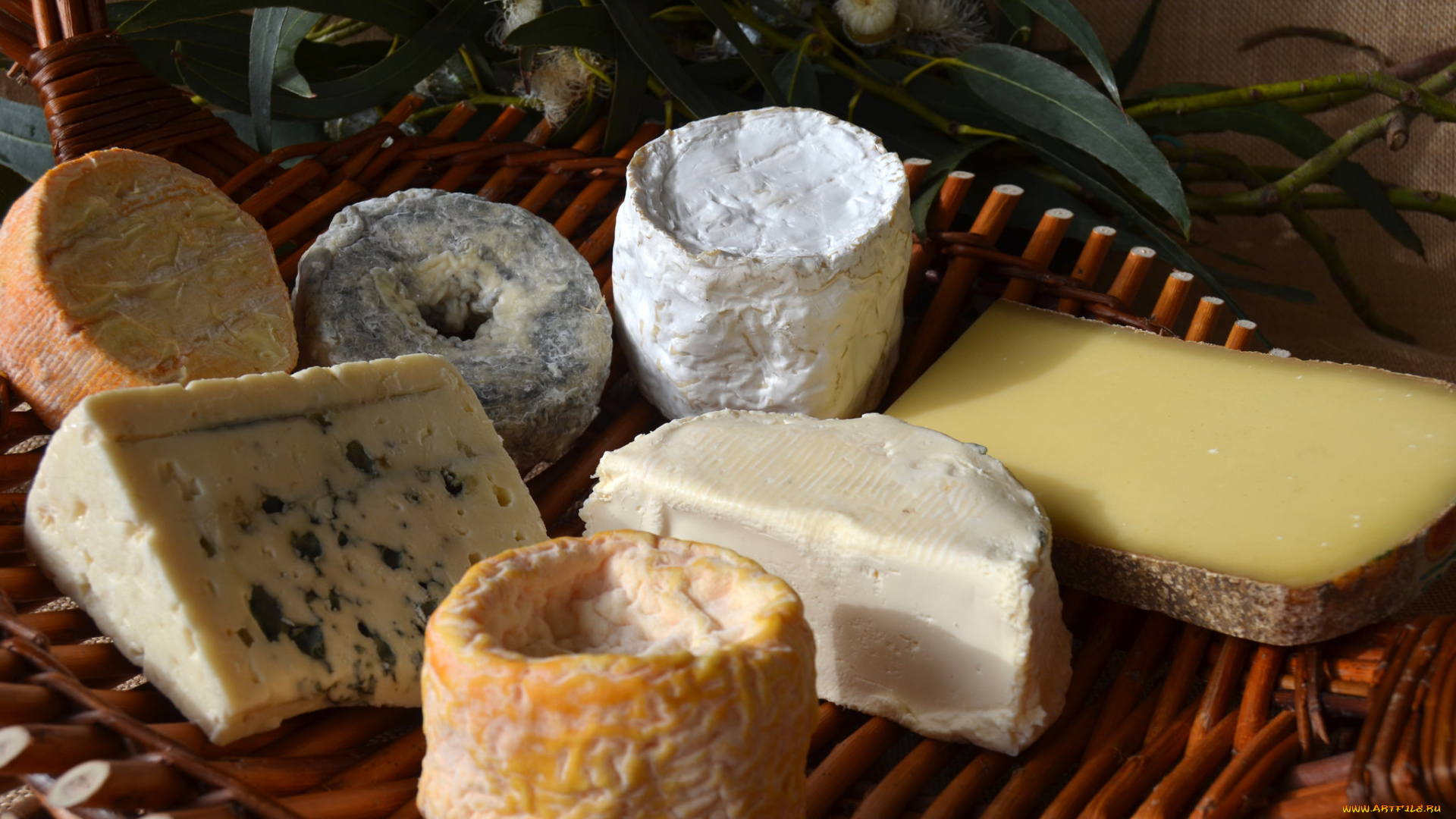 tabla, de, quesos, de, navidad, 2014, еда, сырные, изделия, сыр