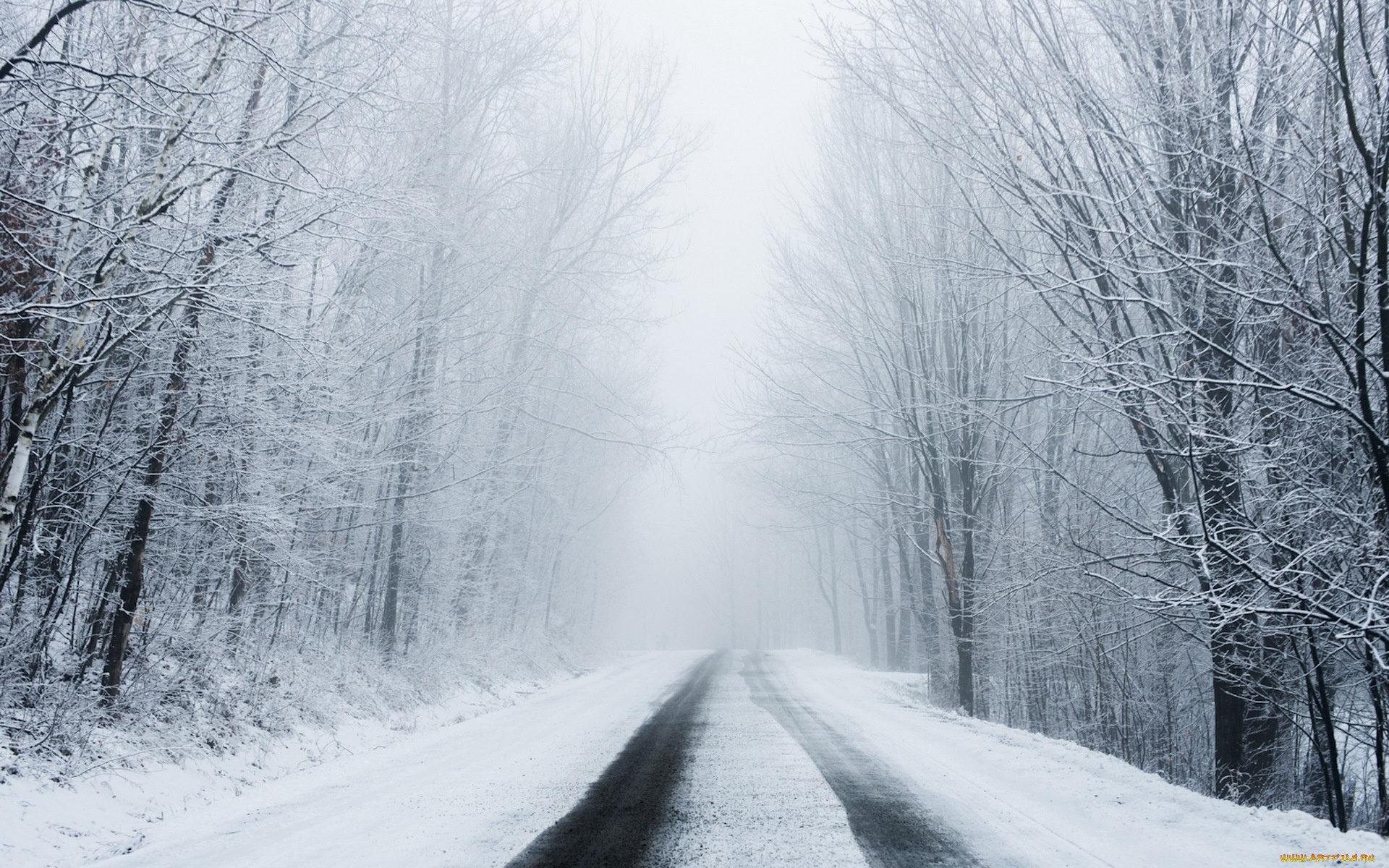 природа, дороги, лес, снег, зима