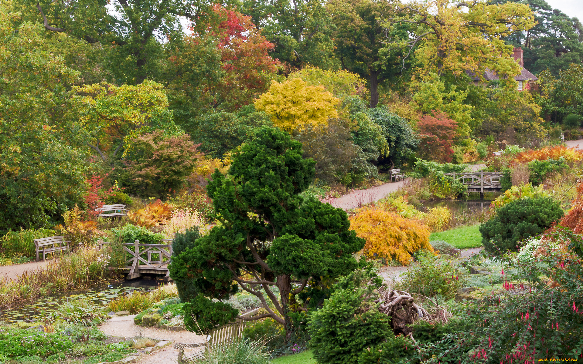 природа, парк, краски, осень, листва