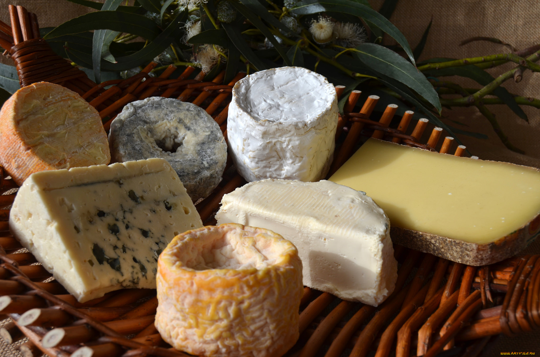 tabla, de, quesos, de, navidad, 2014, еда, сырные, изделия, сыр