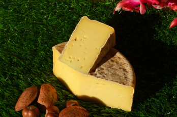Картинка tommette+des+pyreenees еда сырные+изделия сыр