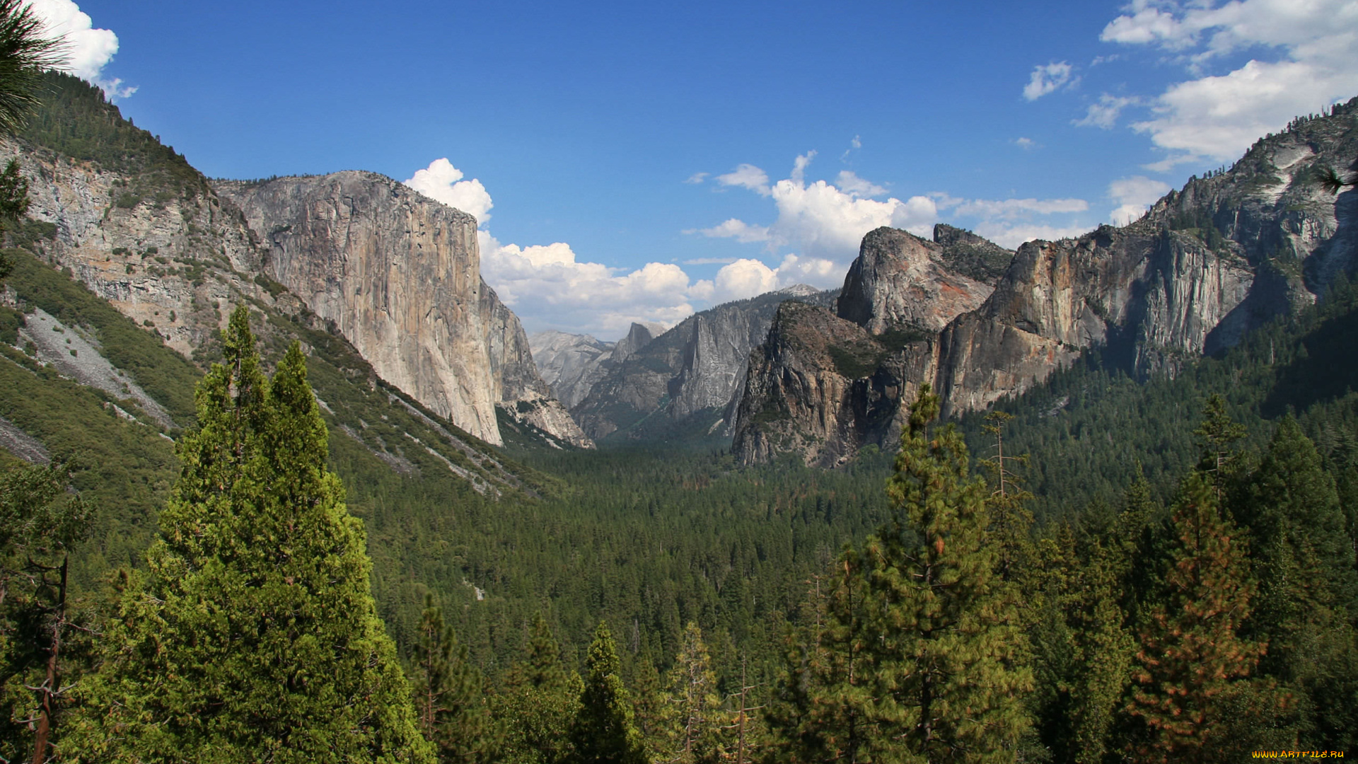 sequoia, national, park, природа, горы, скалы, sequoia, деревья, лес, park, national