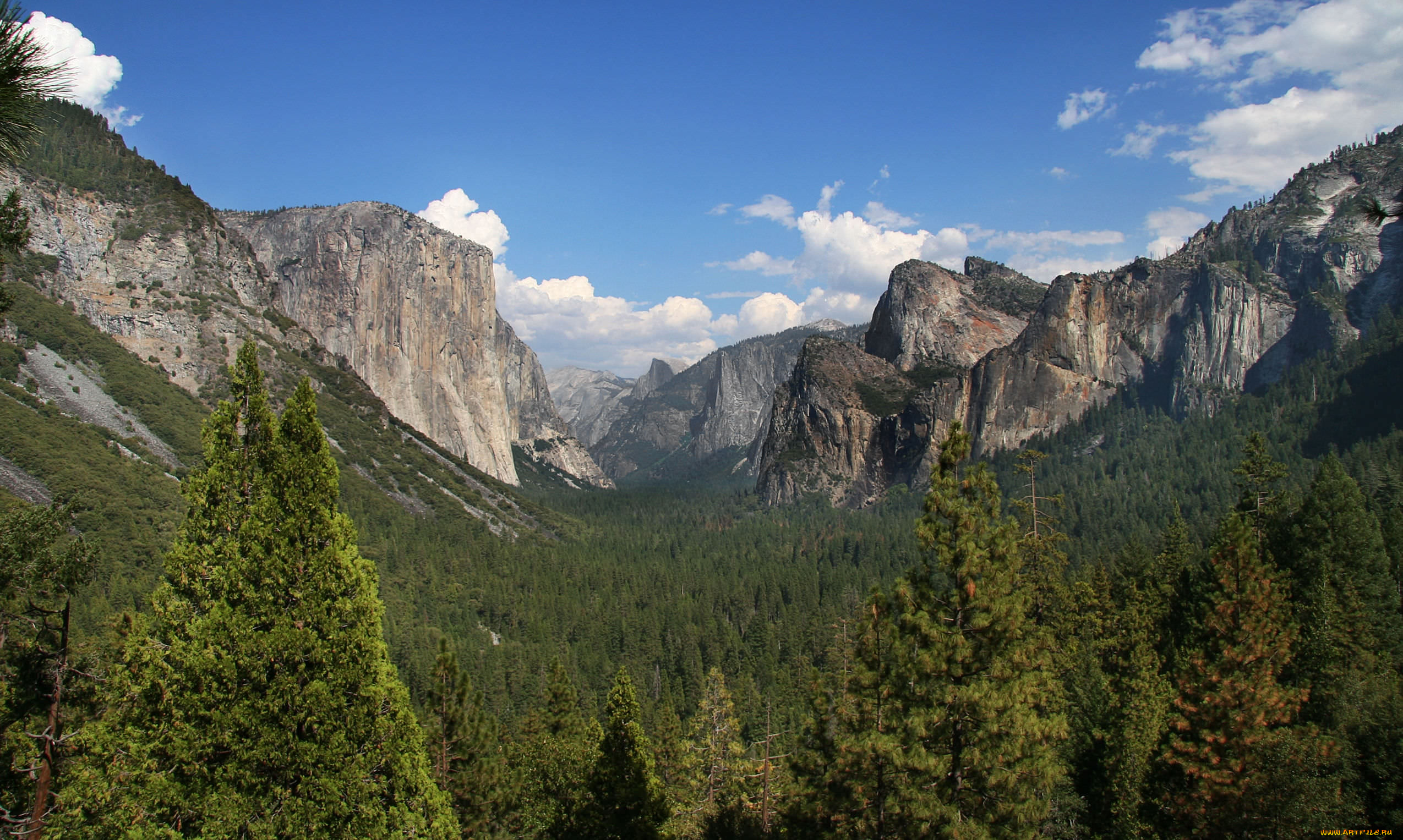 sequoia, national, park, природа, горы, скалы, sequoia, деревья, лес, park, national