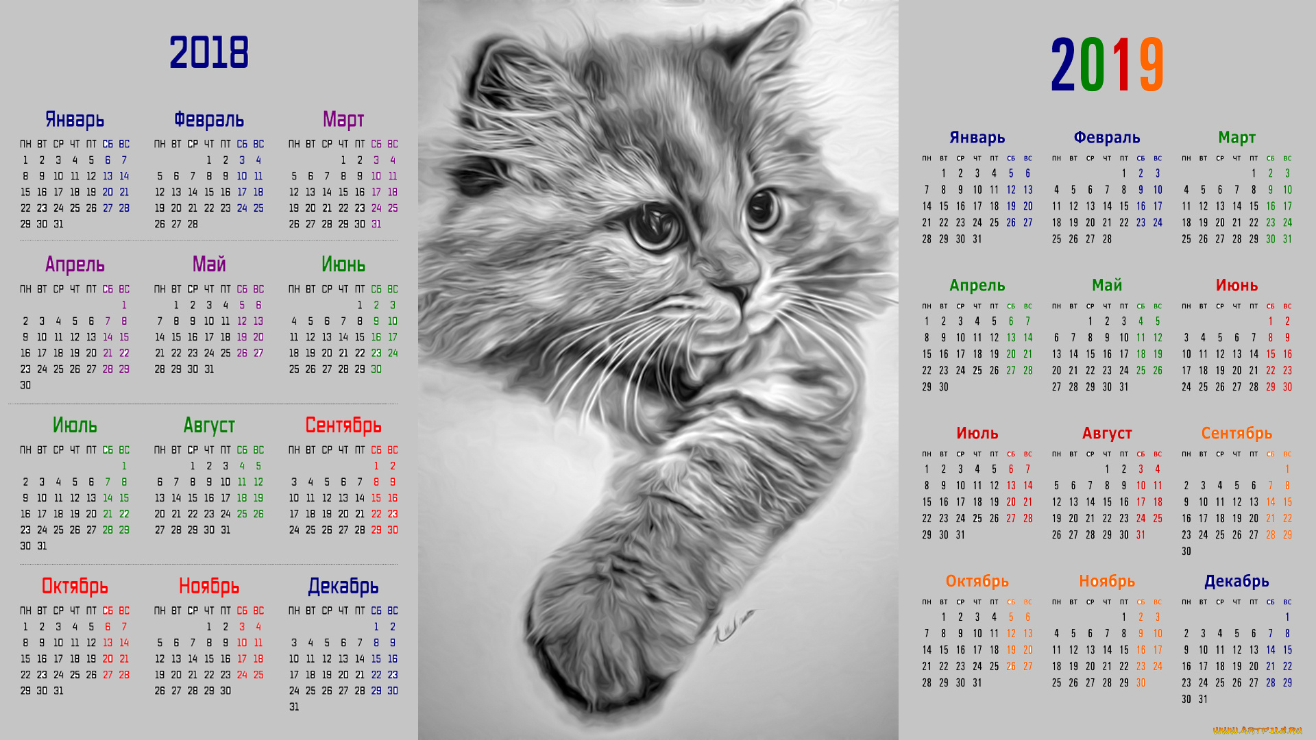 календари, рисованные, , векторная, графика, взгляд, кошка