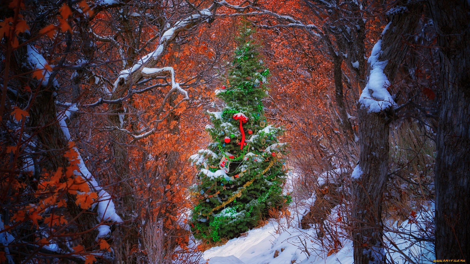 праздничные, -, разное, , новый, год, лес, снег, елка