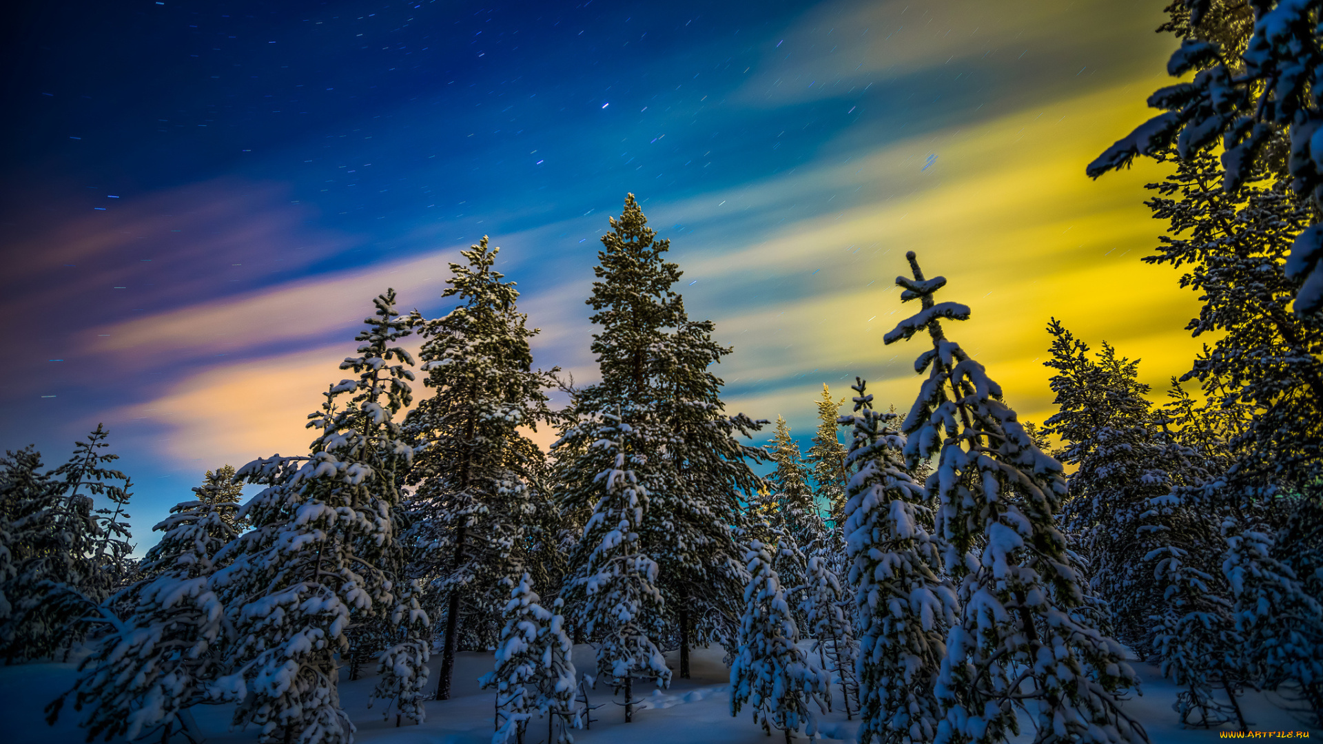 природа, лес, снег, северное, сияние, ели, деревья, зима, пейзаж, лапландия, финляндия, звёзды