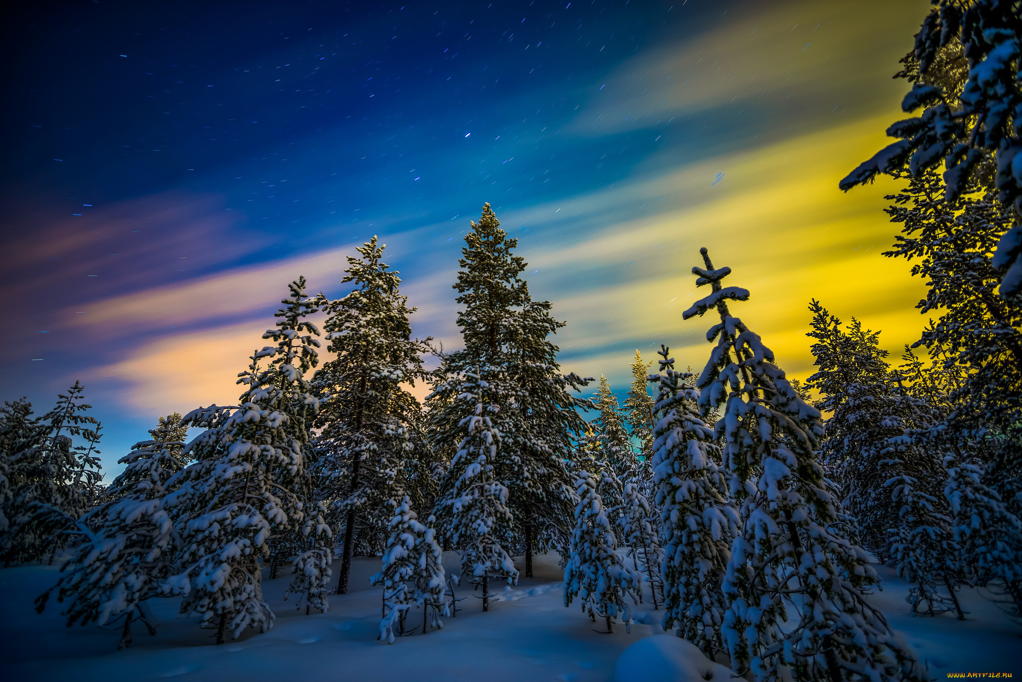 природа, лес, снег, северное, сияние, ели, деревья, зима, пейзаж, лапландия, финляндия, звёзды
