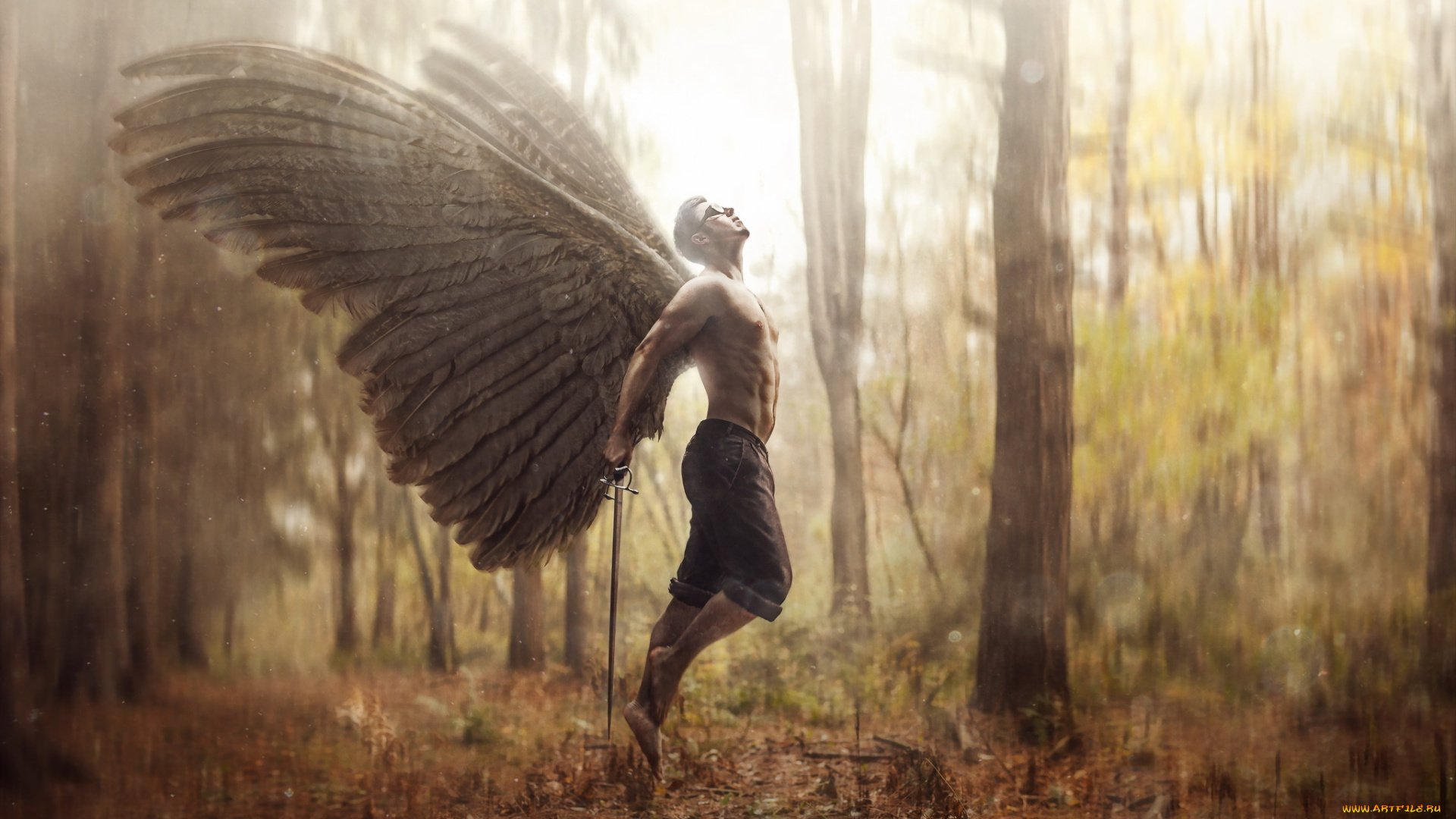 фэнтези, фотоарт, лес, меч, мускулы, торс, ангел, крылья, мужчина