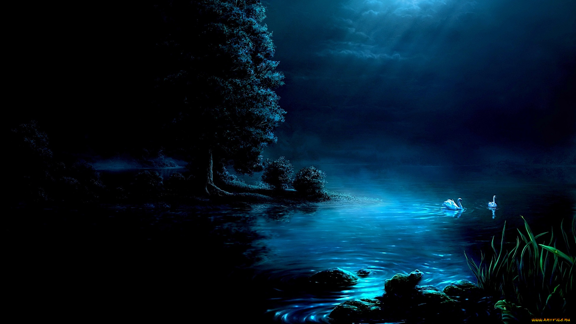 рисованное, природа, лебеди, озеро, ночь