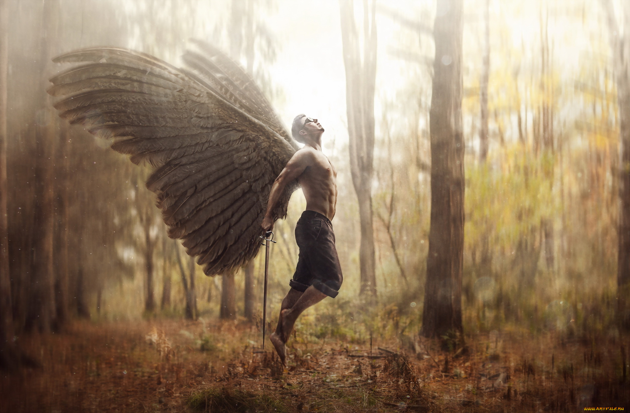 фэнтези, фотоарт, лес, меч, мускулы, торс, ангел, крылья, мужчина