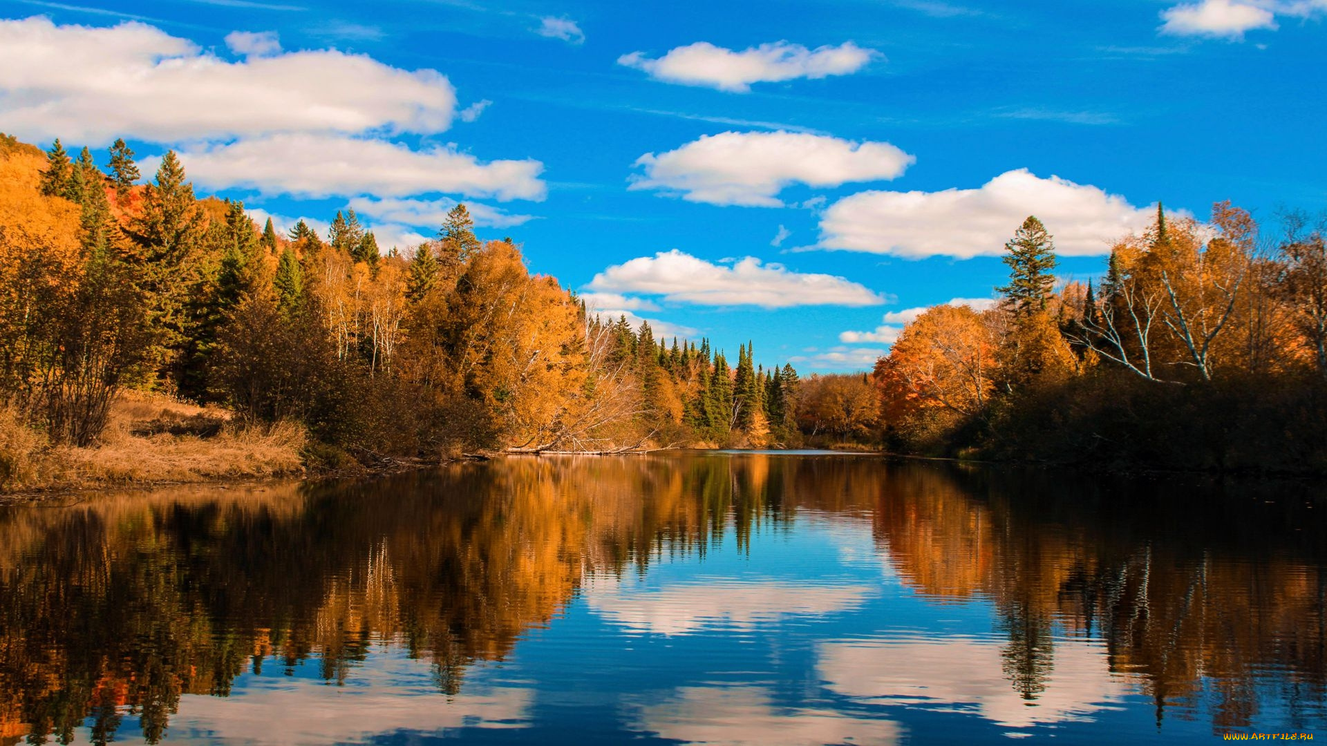 magnetawan, river, ontario, природа, реки, озера, magnetawan, river