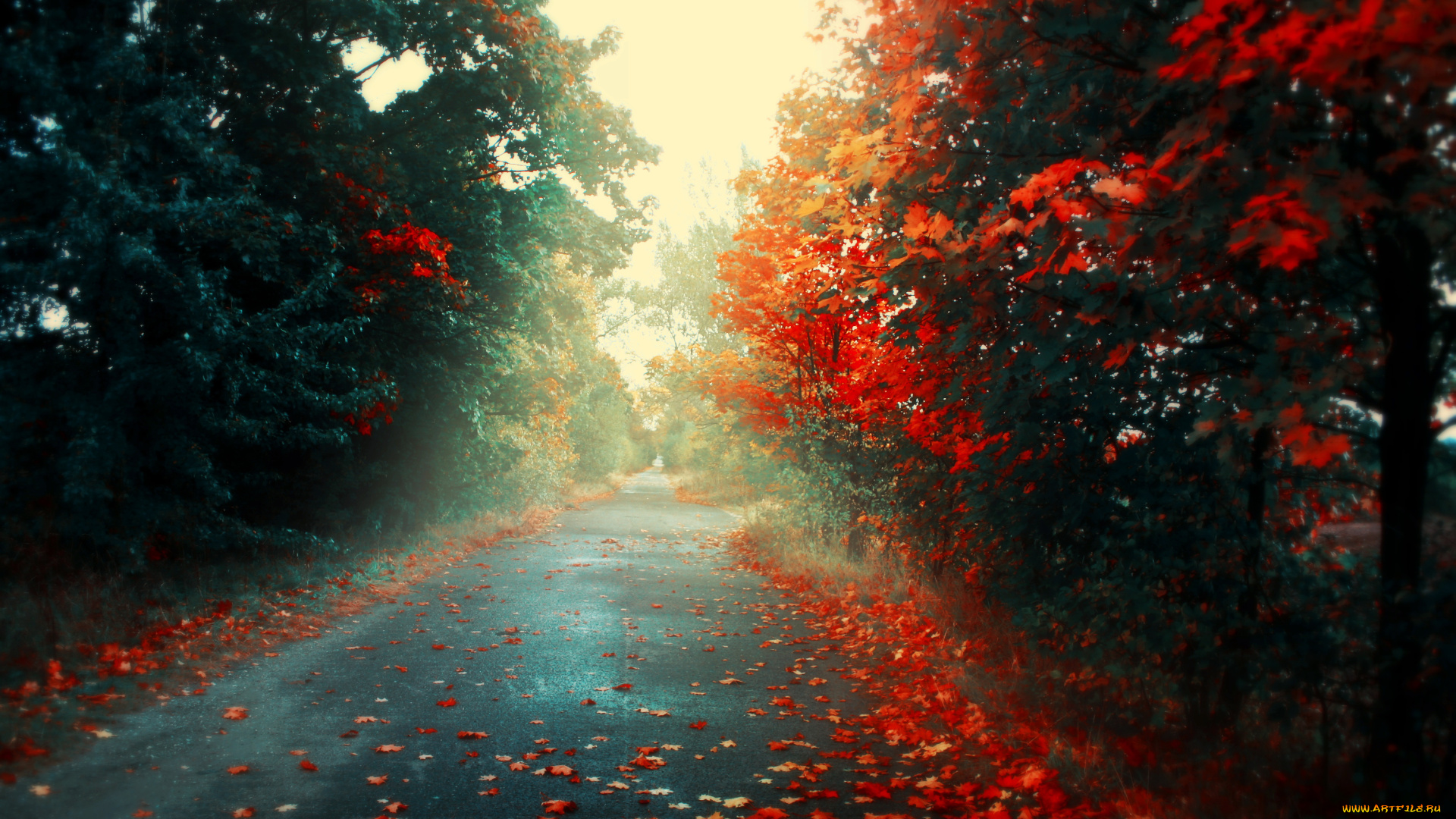 природа, дороги, Яркие, цвета, дорога, осень