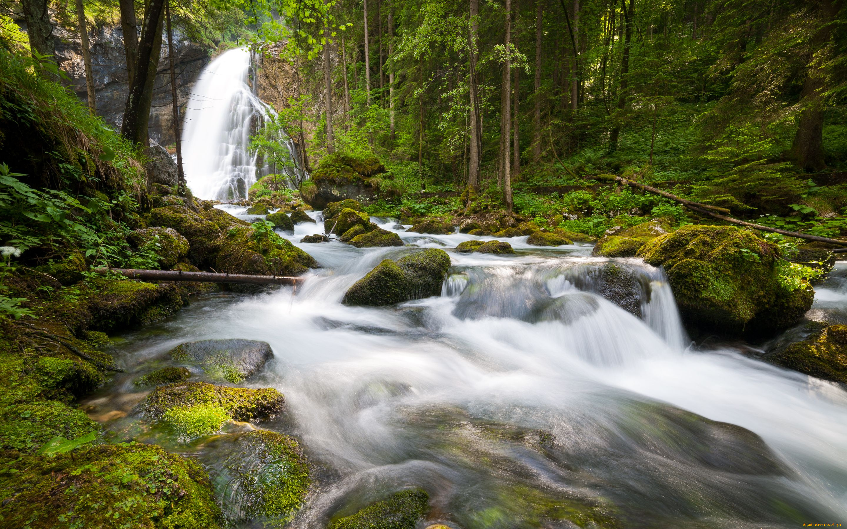 природа, водопады, berchtesgaden, germany, лес, река, деревья, камни