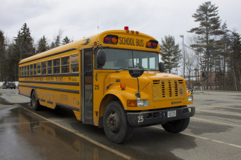 Картинка автомобили автобусы автобус школьный