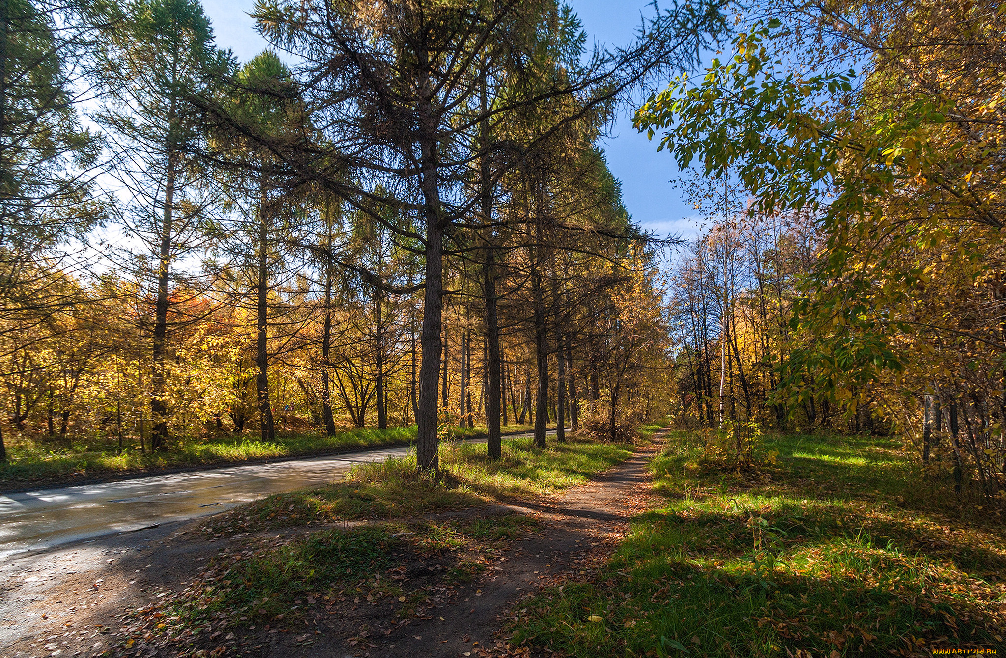 природа, дороги, тракт